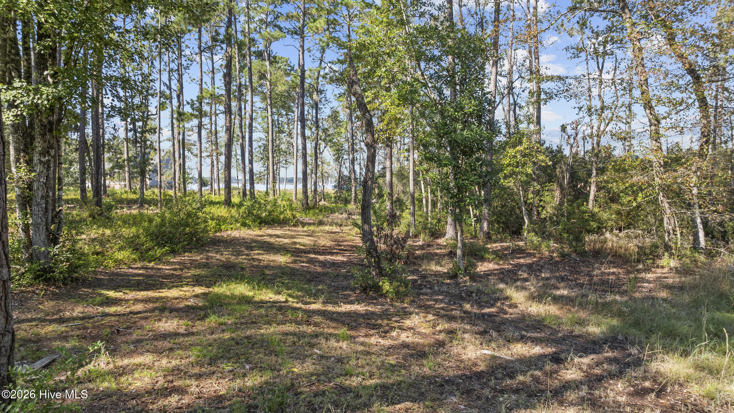 5430 Creek Pointe Road Property Photo 37