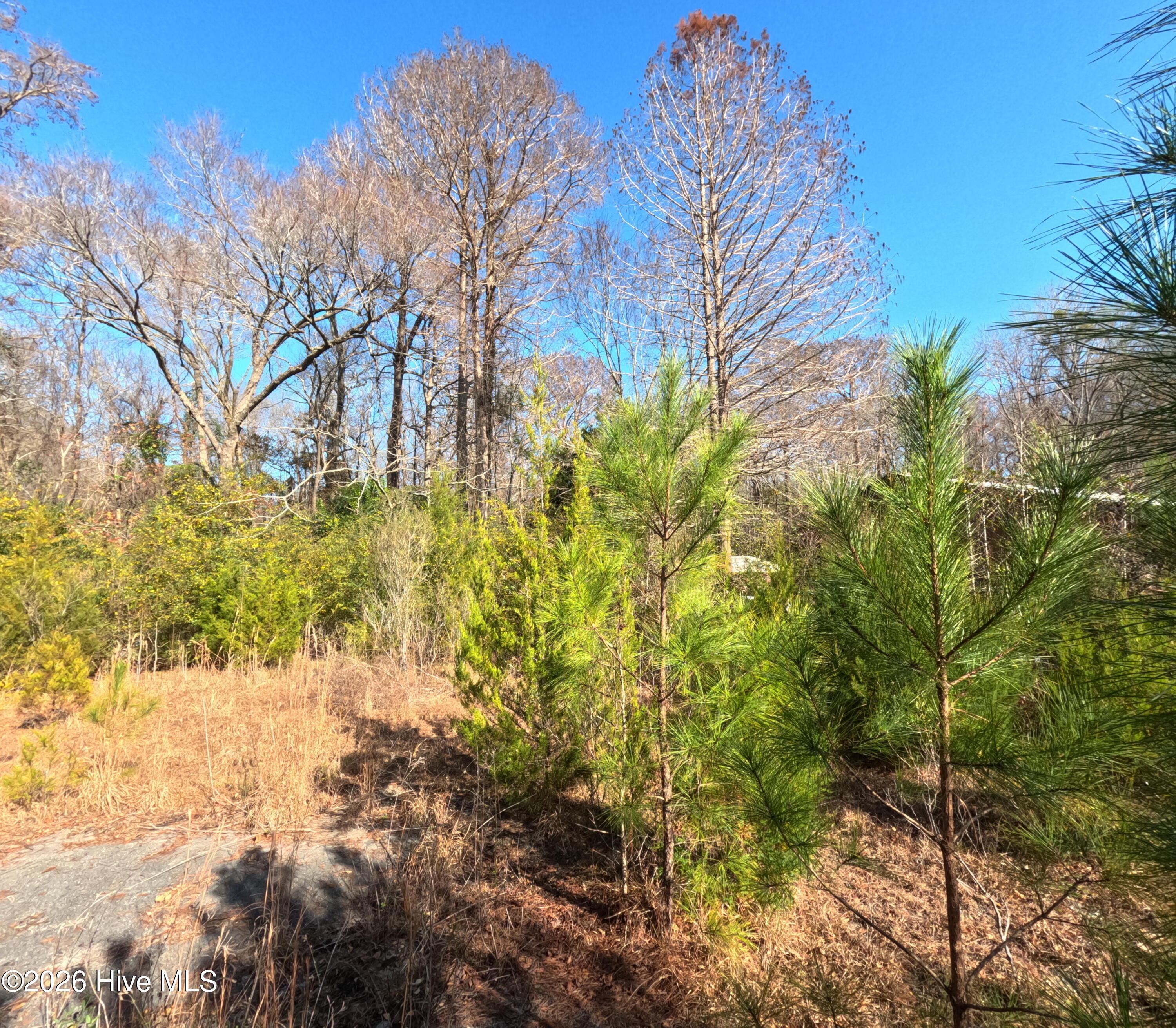 1375 Piney Green Road Property Photo 4