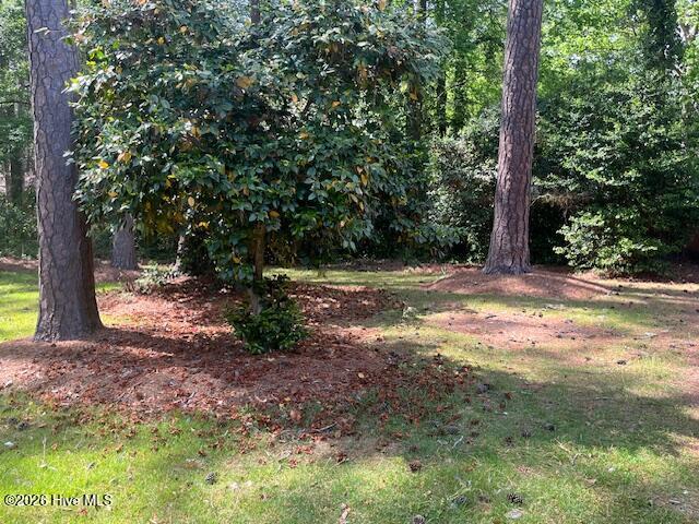 708 Piedmont Avenue Property Photo 20