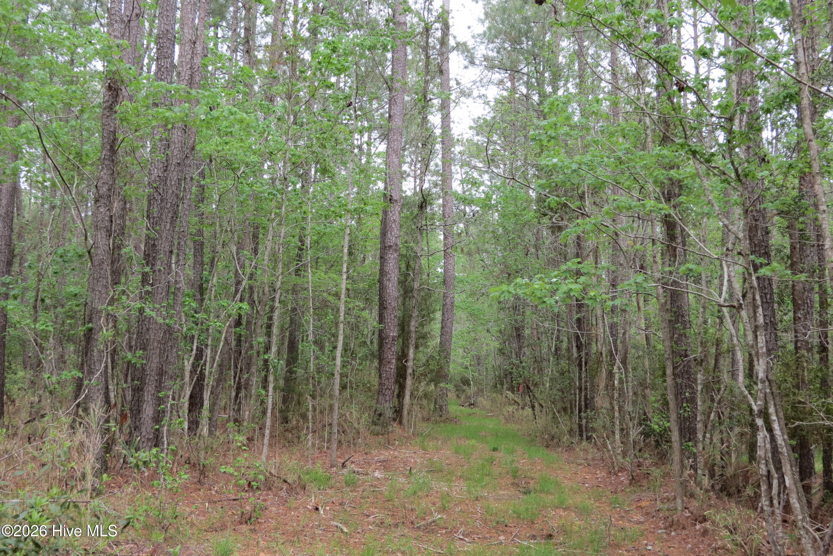 336 13 Mills Road Property Photo 6