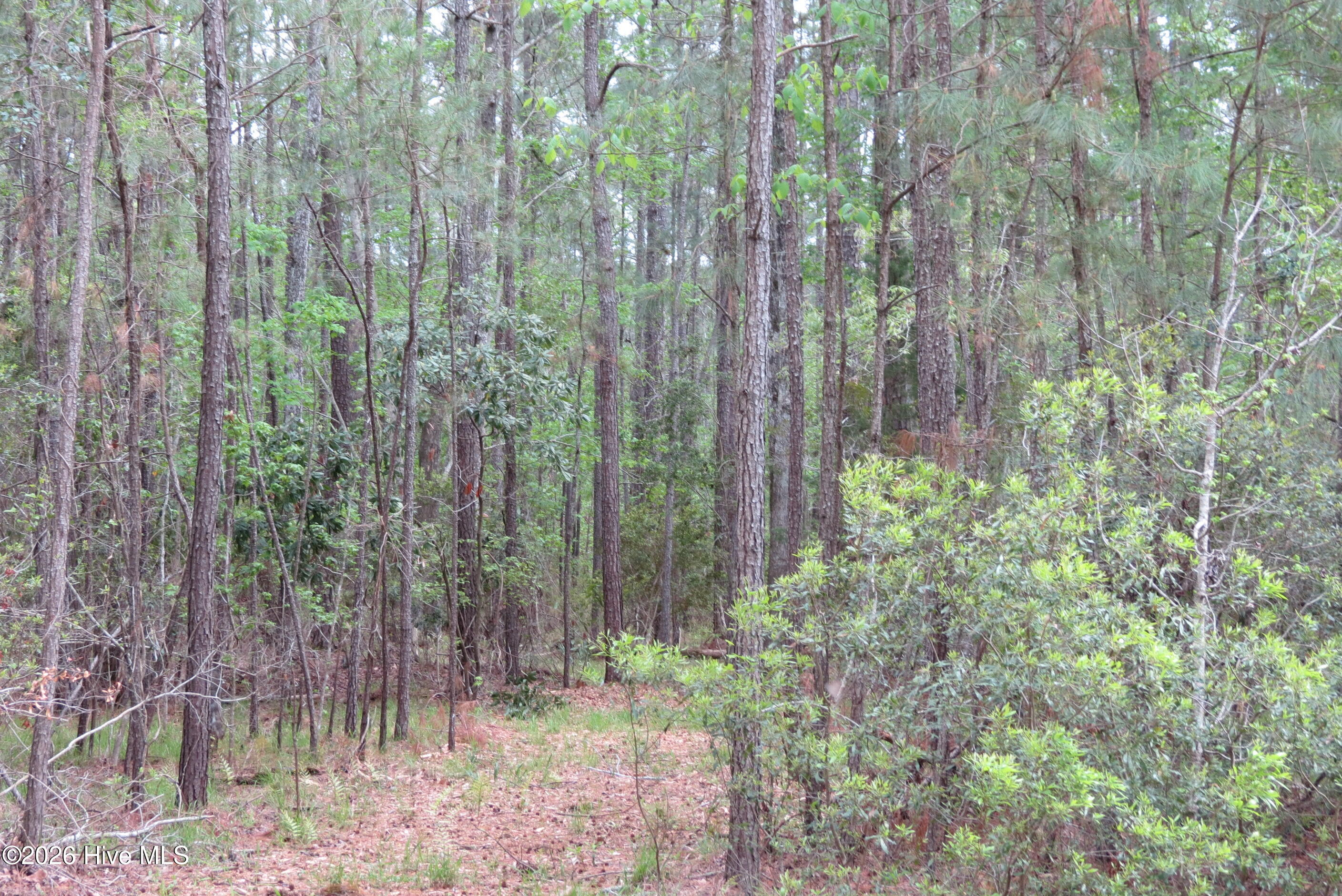 336 13 Mills Road Property Photo 7