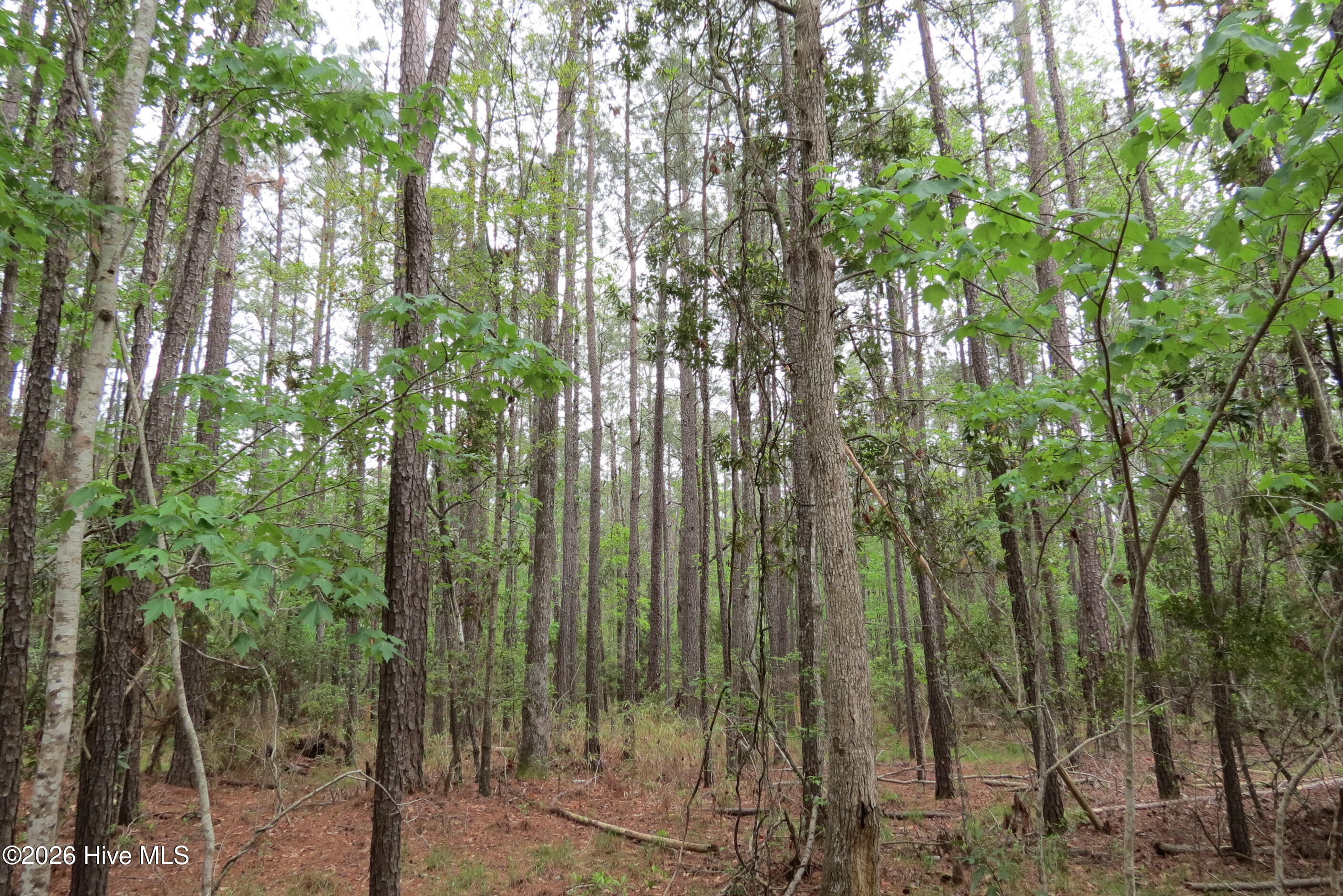 336 13 Mills Road Property Photo 8
