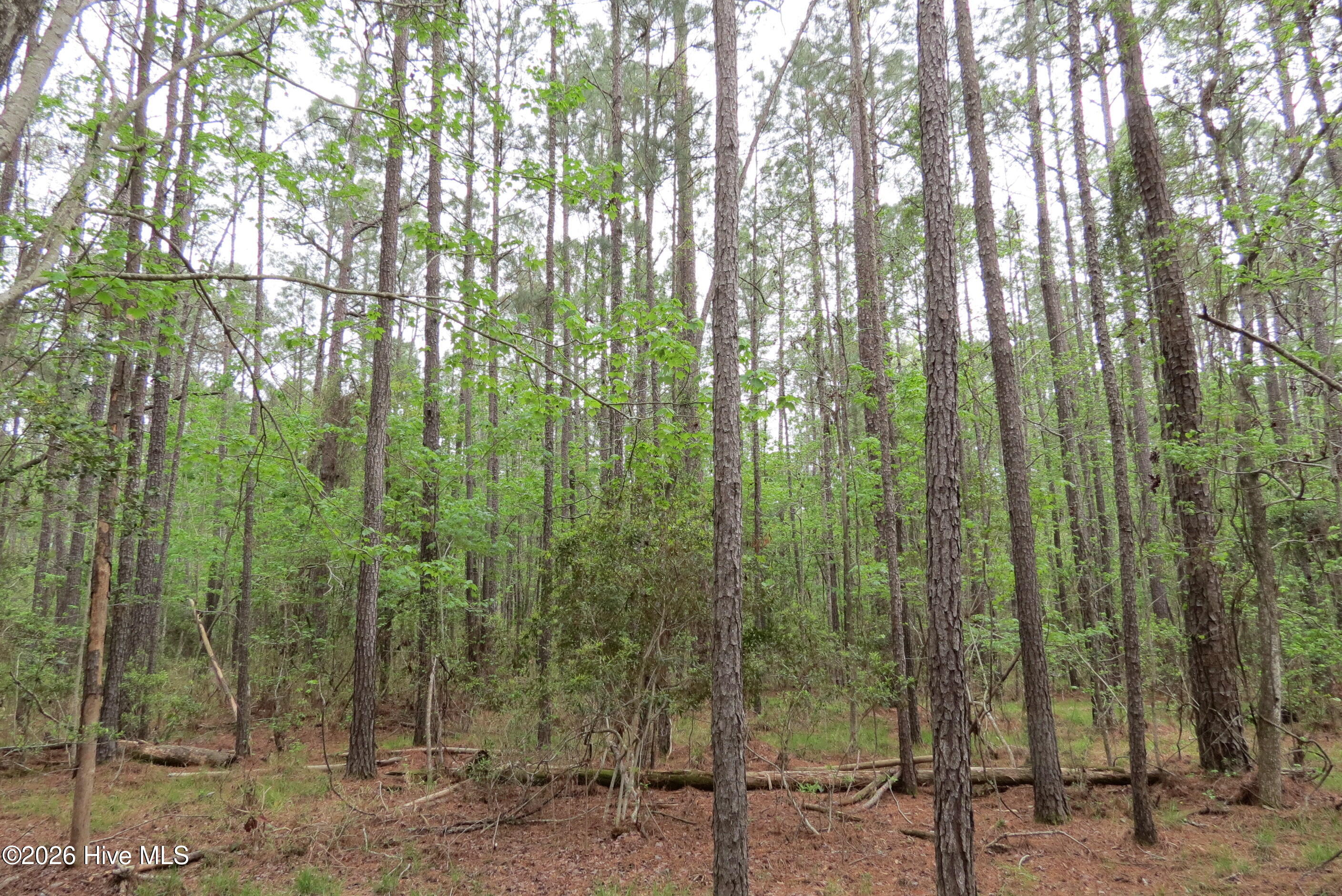 336 13 Mills Road Property Photo 9