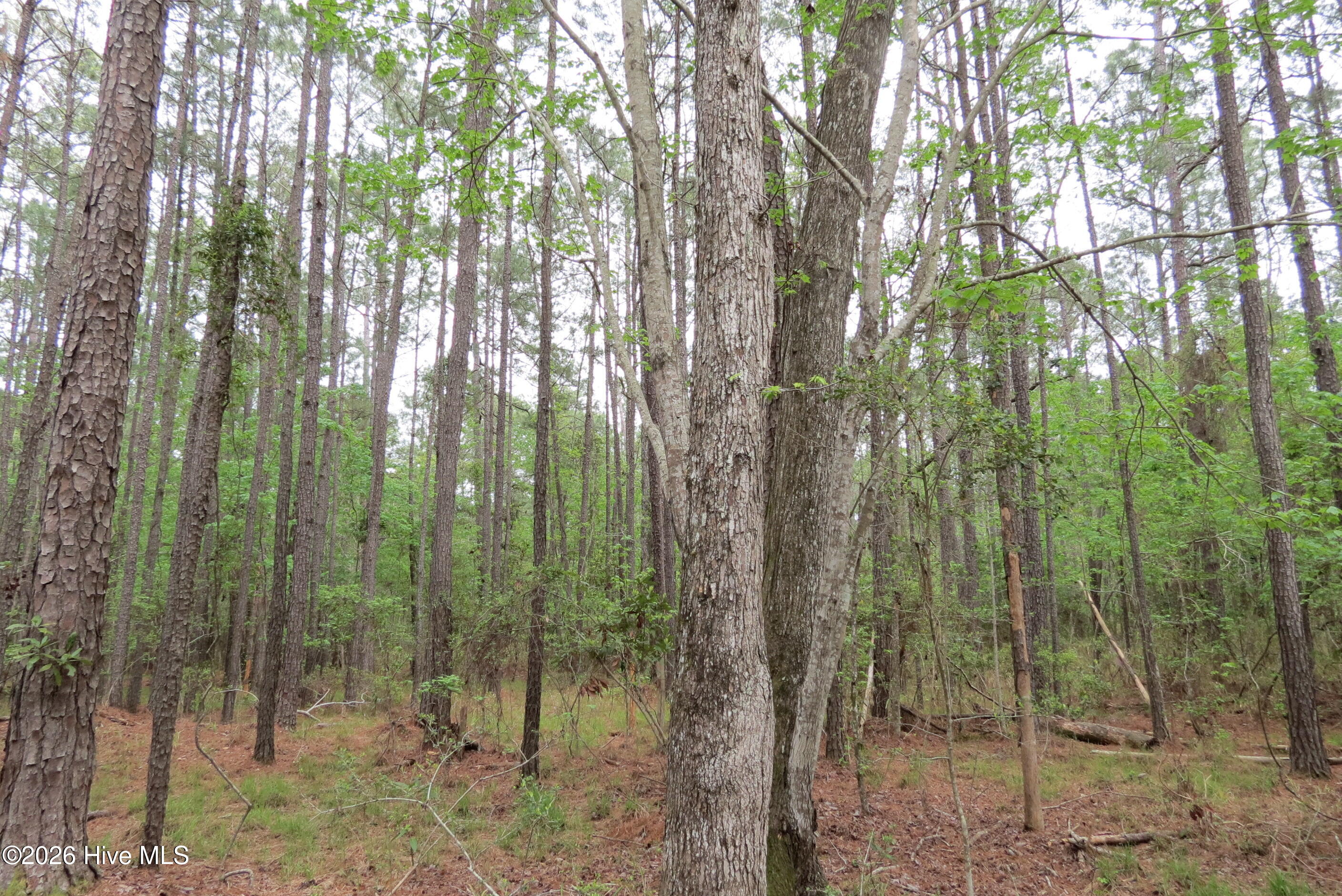 336 13 Mills Road Property Photo 10