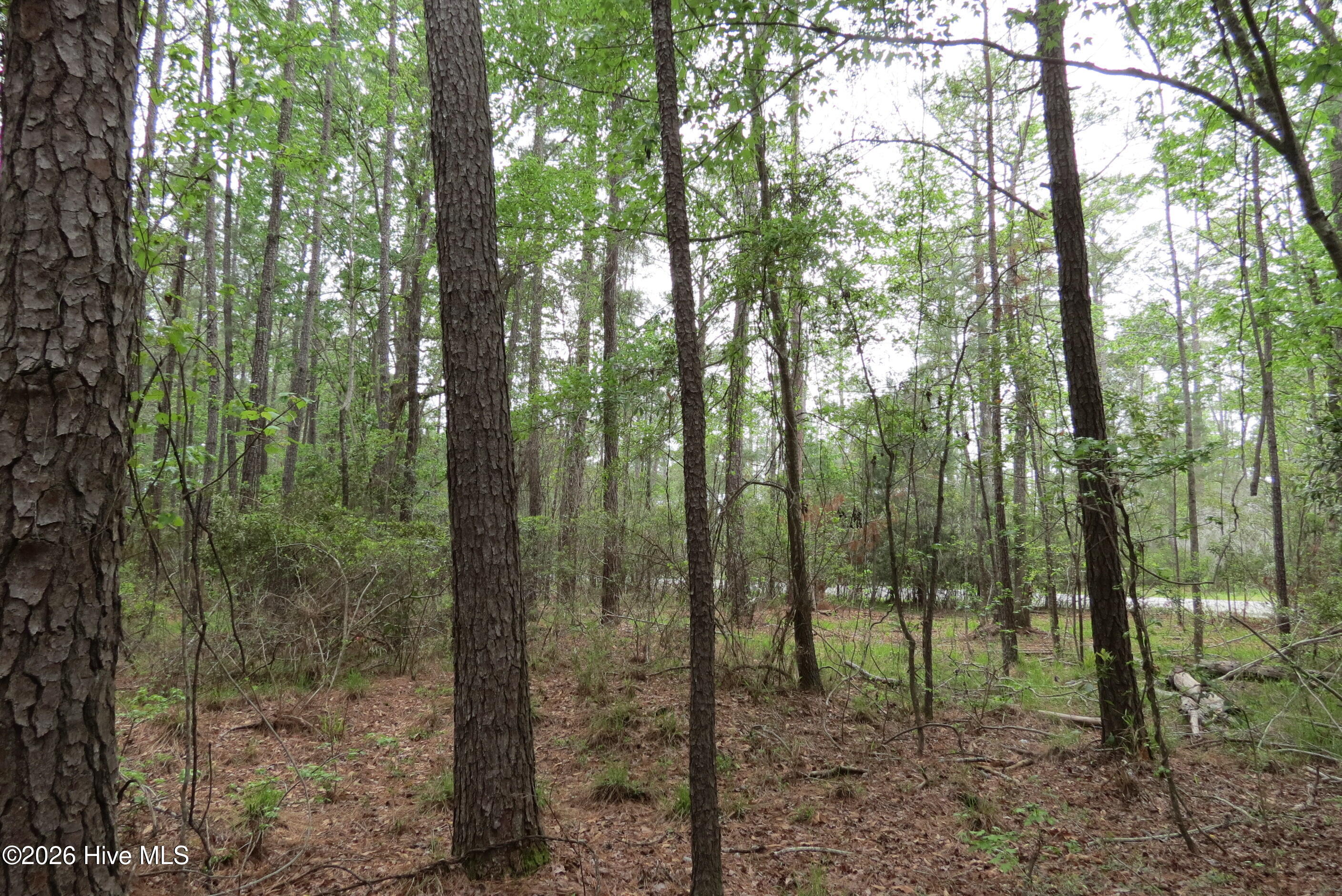 336 13 Mills Road Property Photo 12