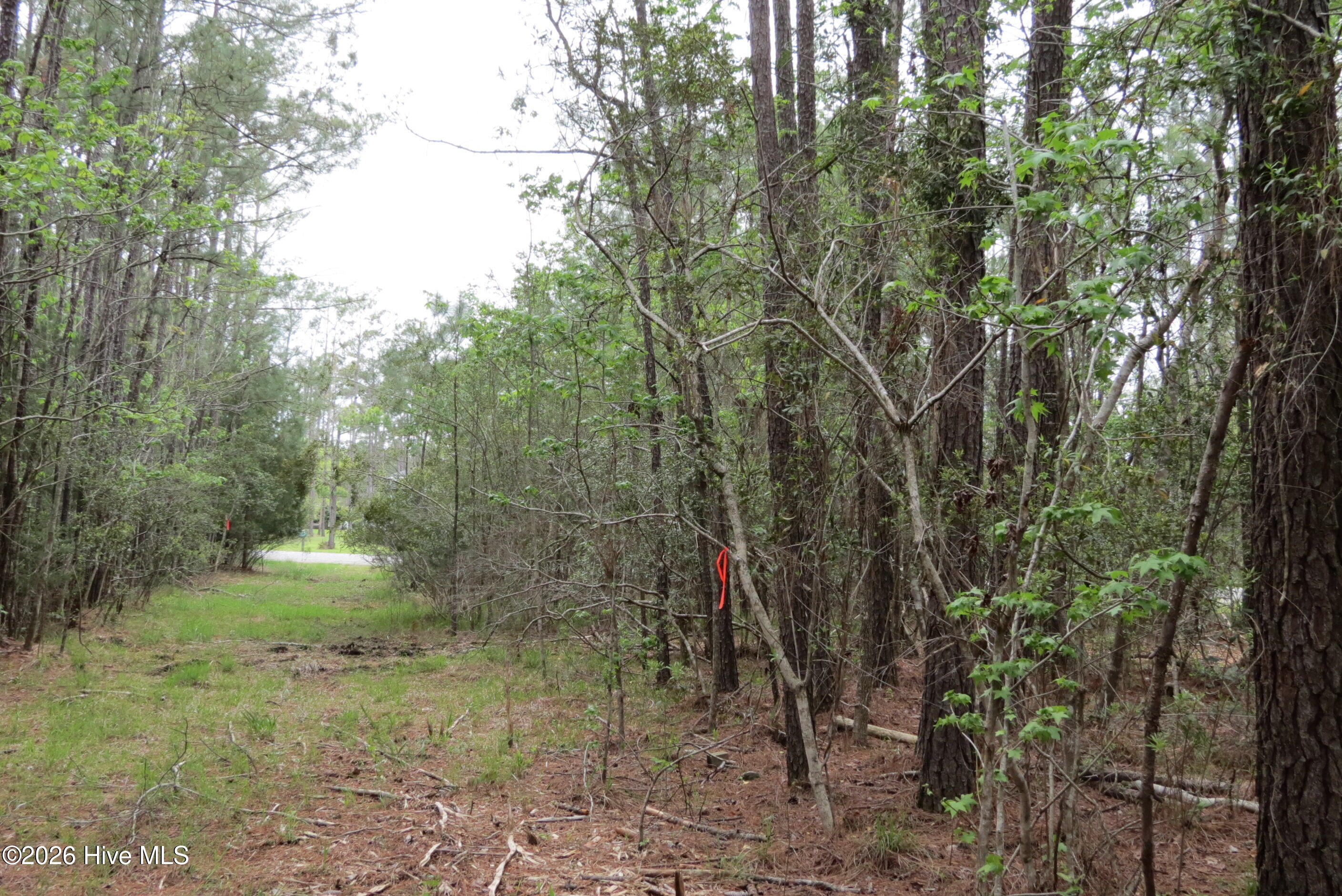 336 13 Mills Road Property Photo 15
