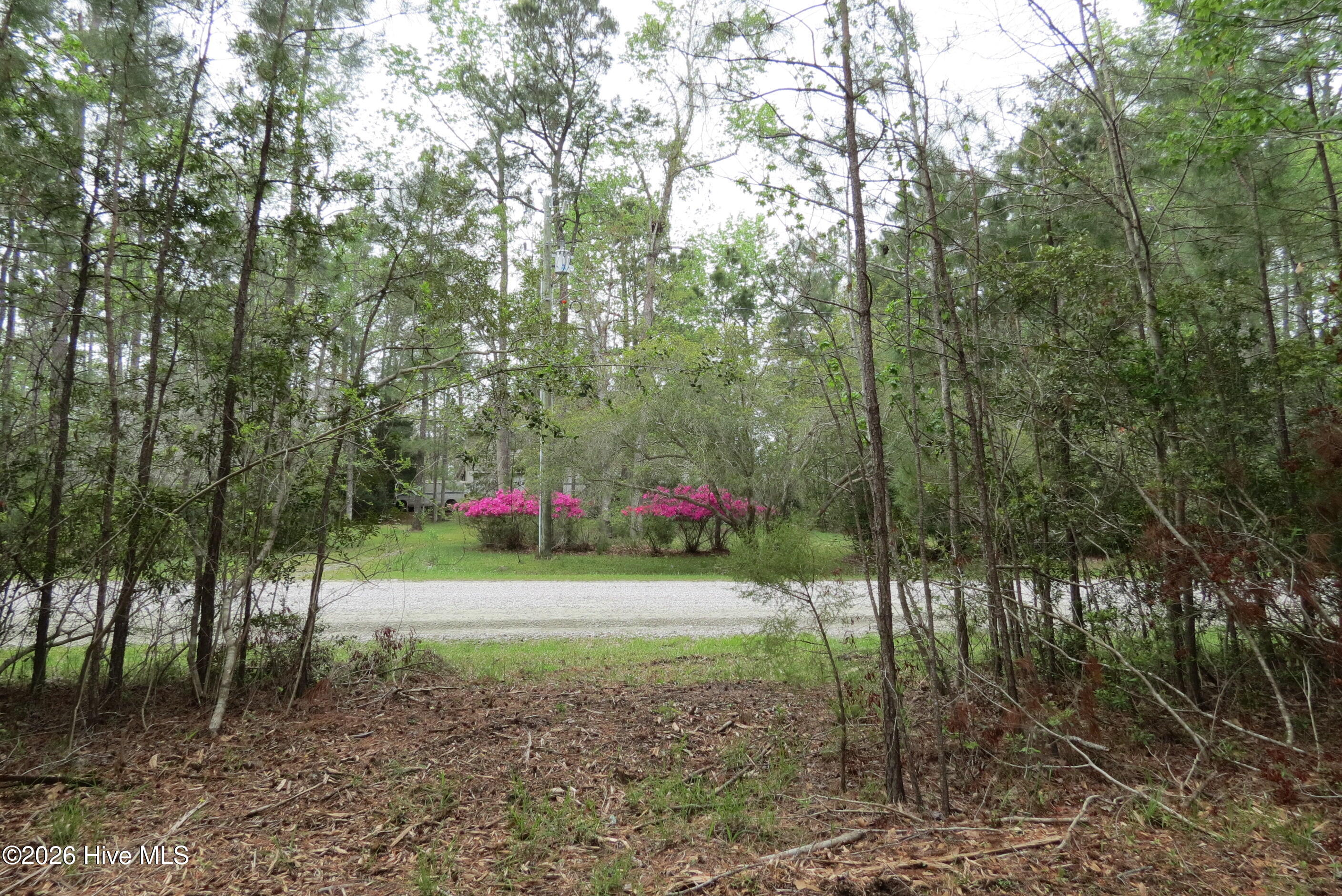336 13 Mills Road Property Photo 16