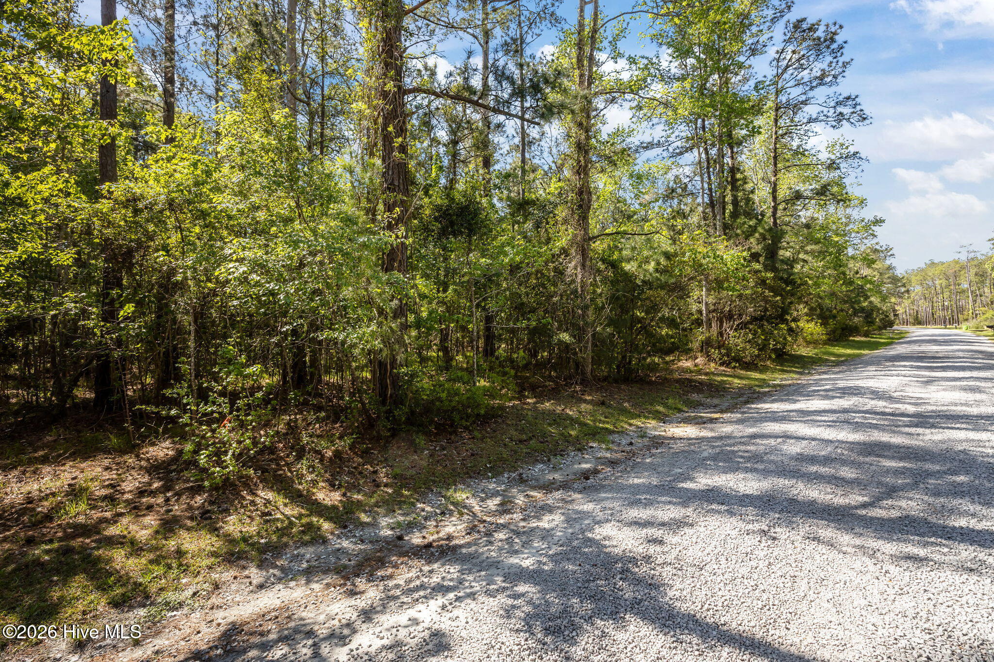 336 13 Mills Road Property Photo 17