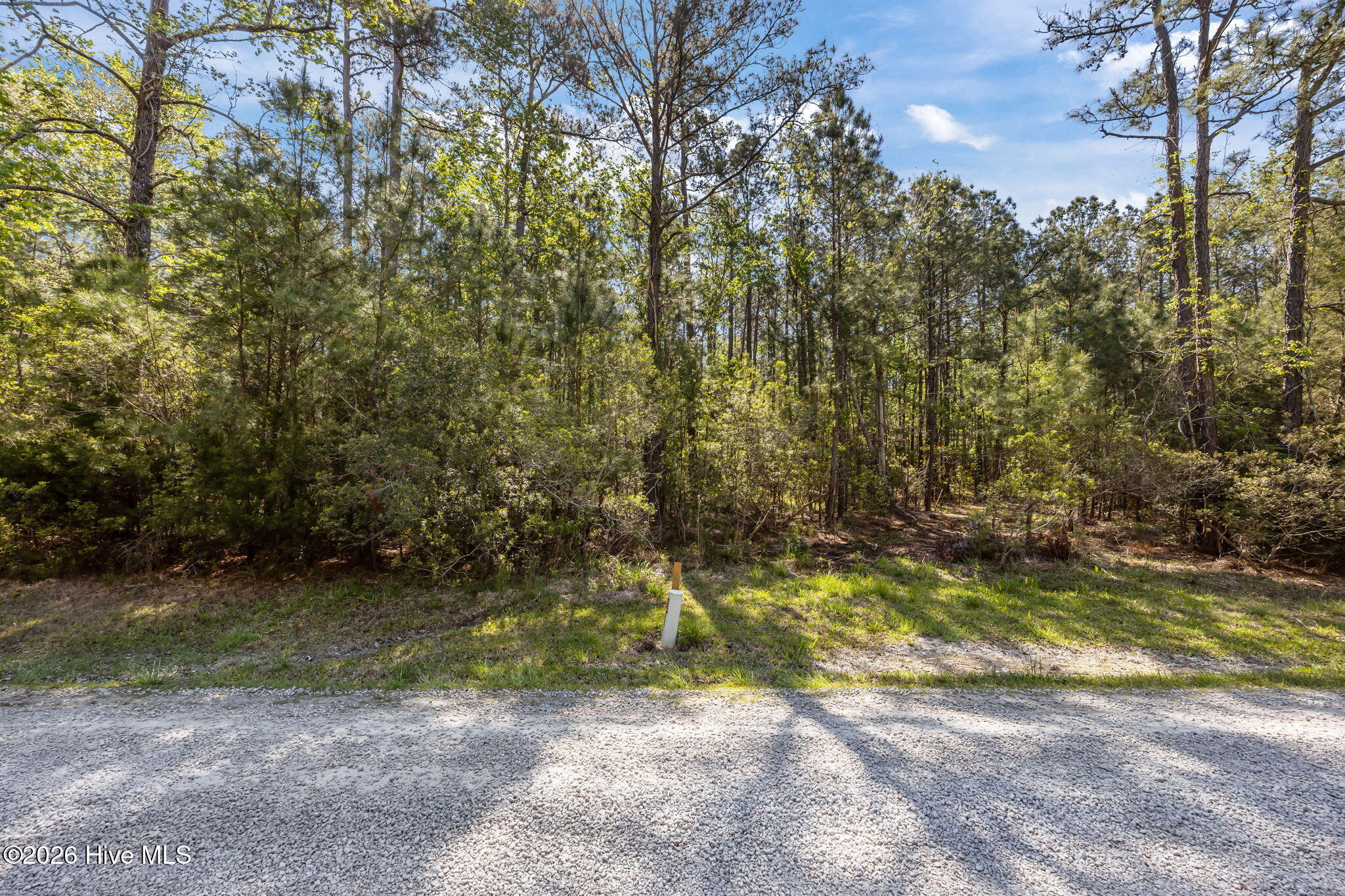 336 13 Mills Road Property Photo 18