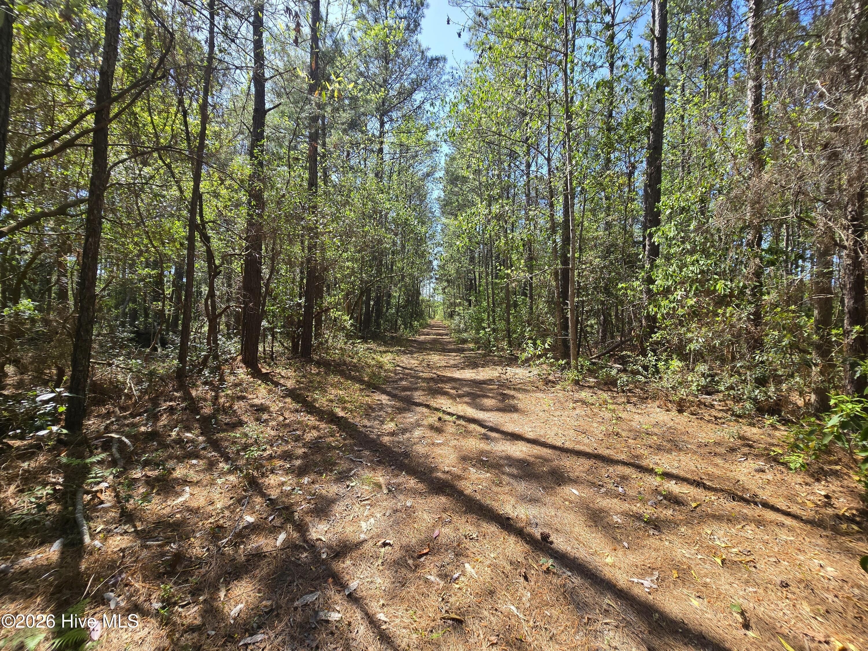 Lot 3 3 Renee Drive Property Photo 6