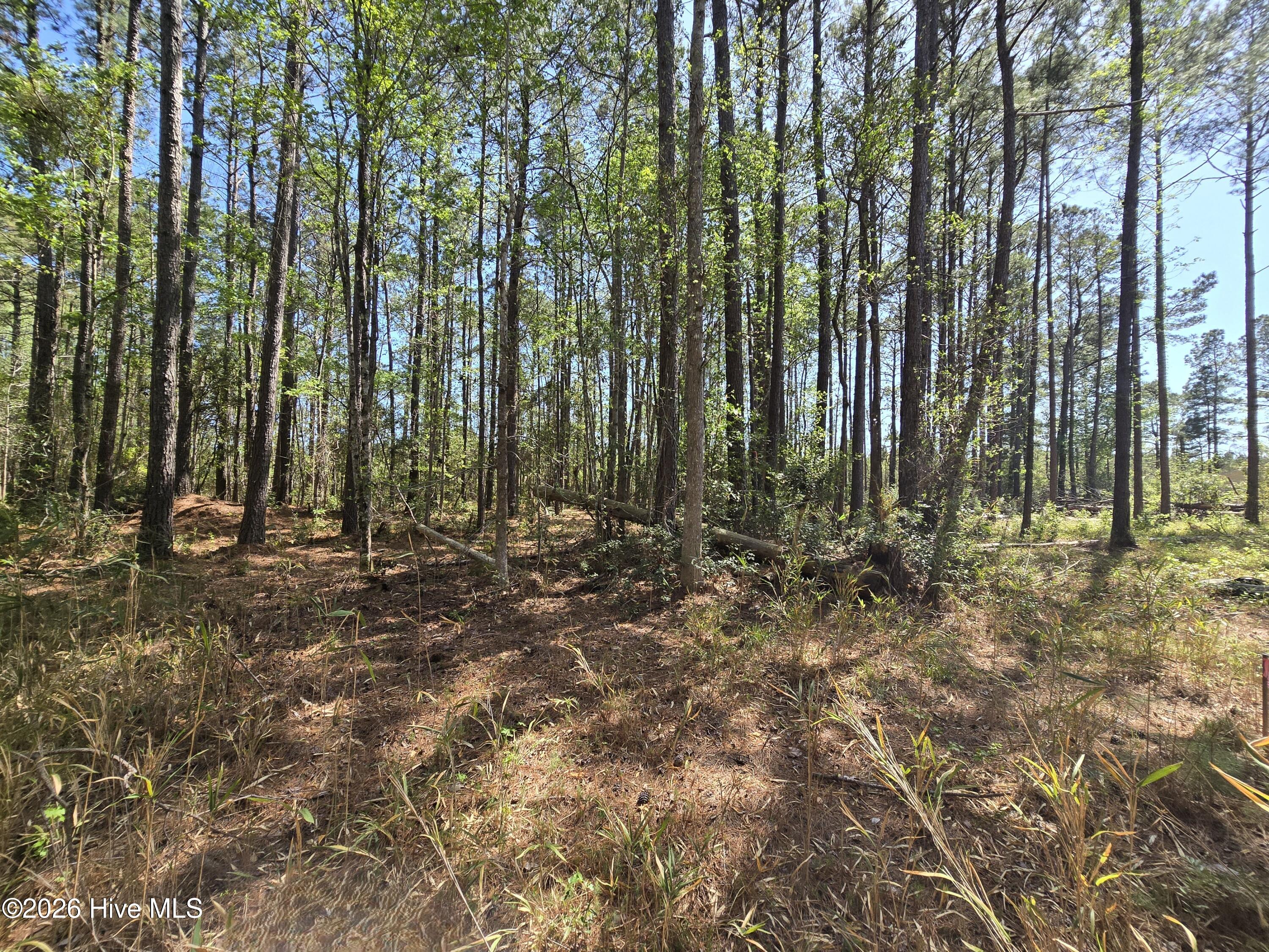 Lot B B Renee Drive Property Photo 1