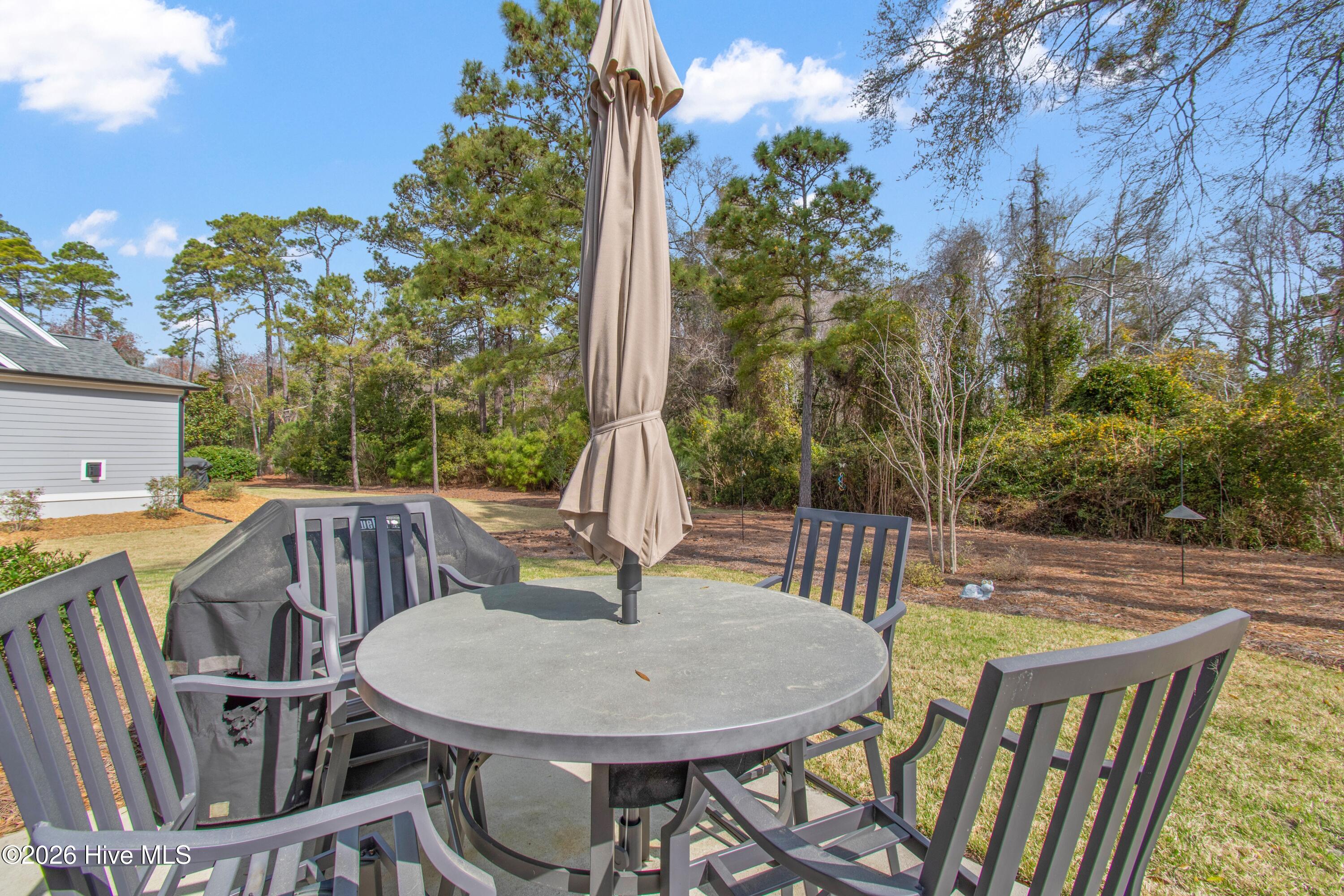 3886 Big Magnolia Way Property Photo 13