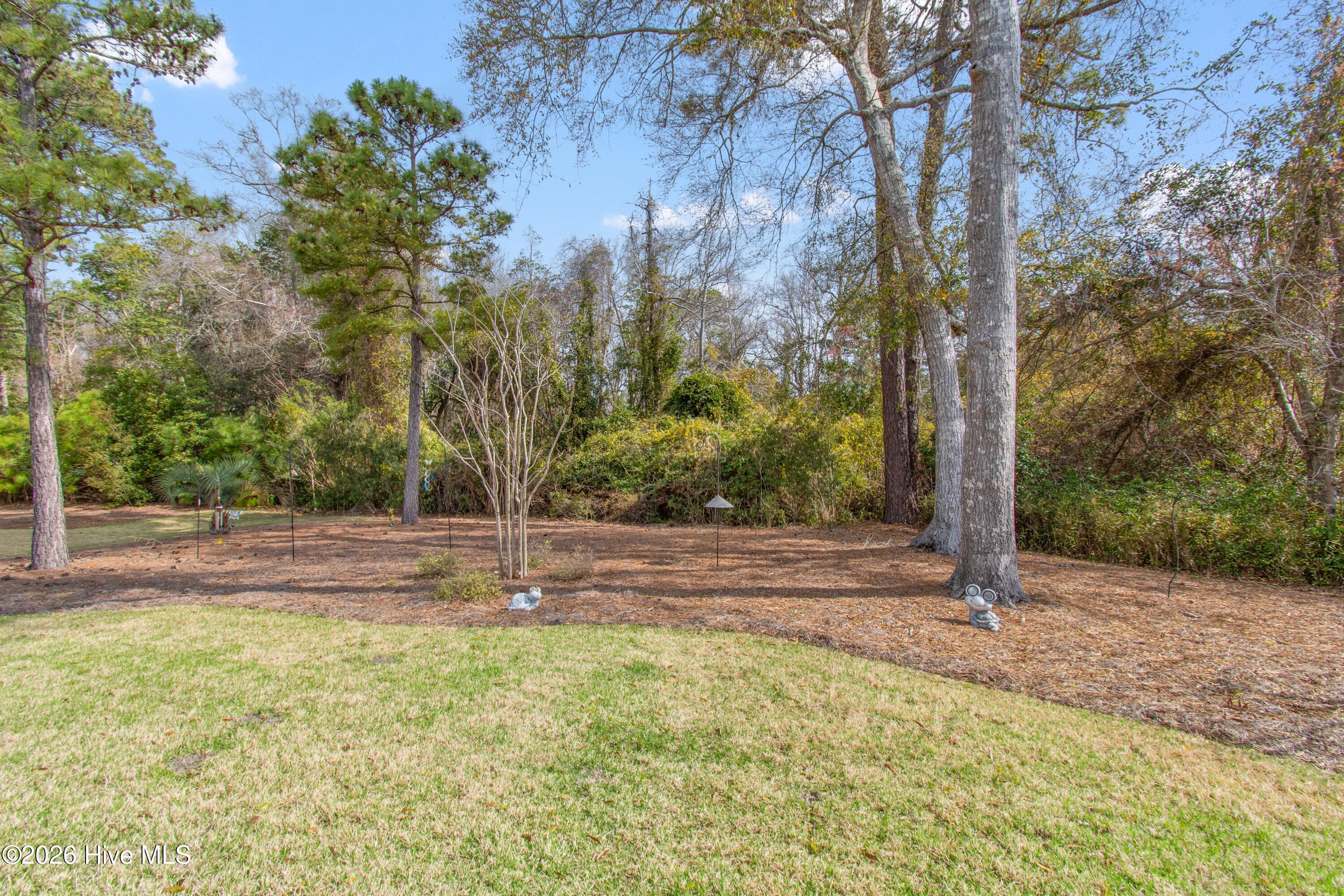 3886 Big Magnolia Way Property Photo 14