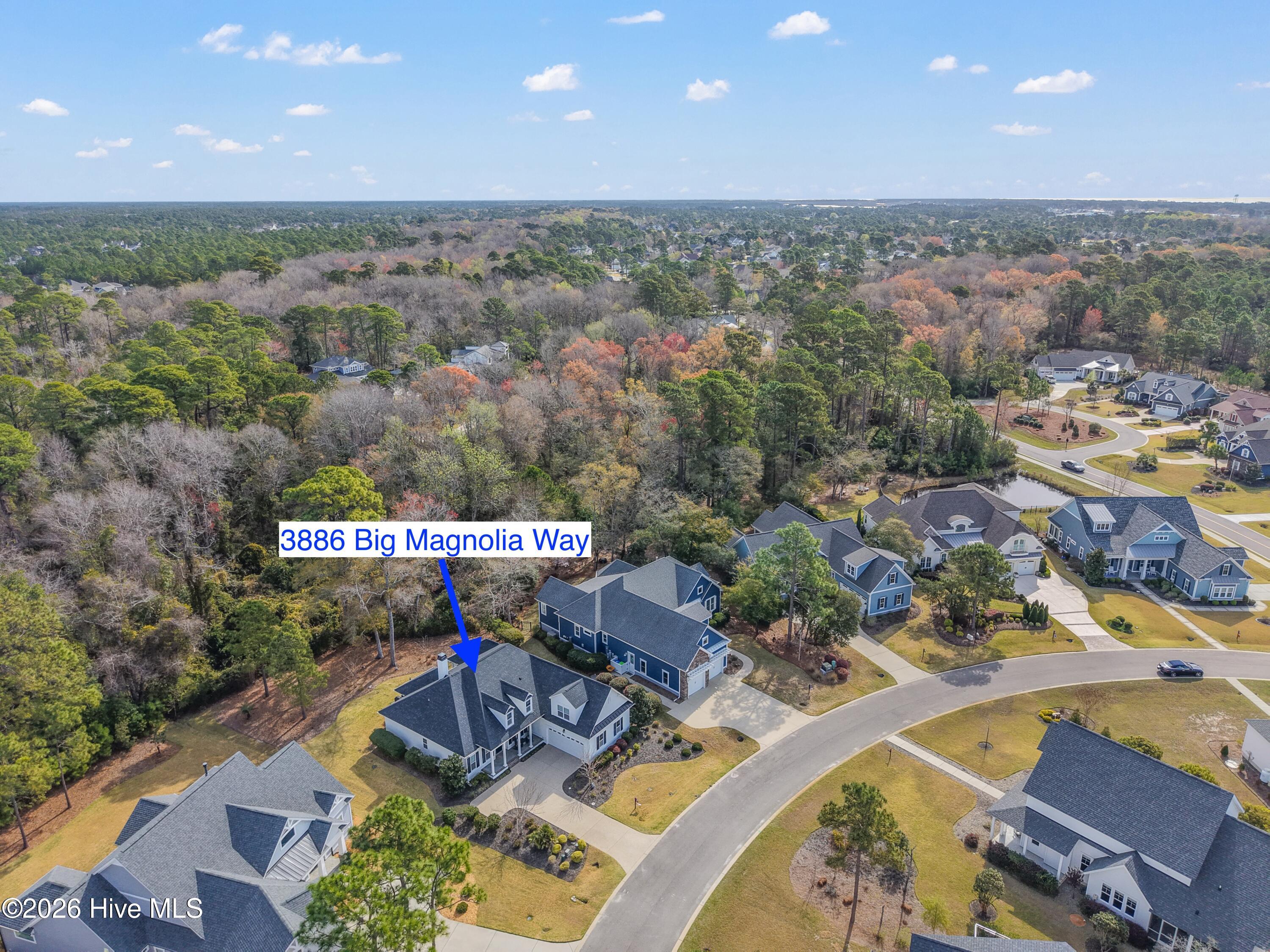 3886 Big Magnolia Way Property Photo 43