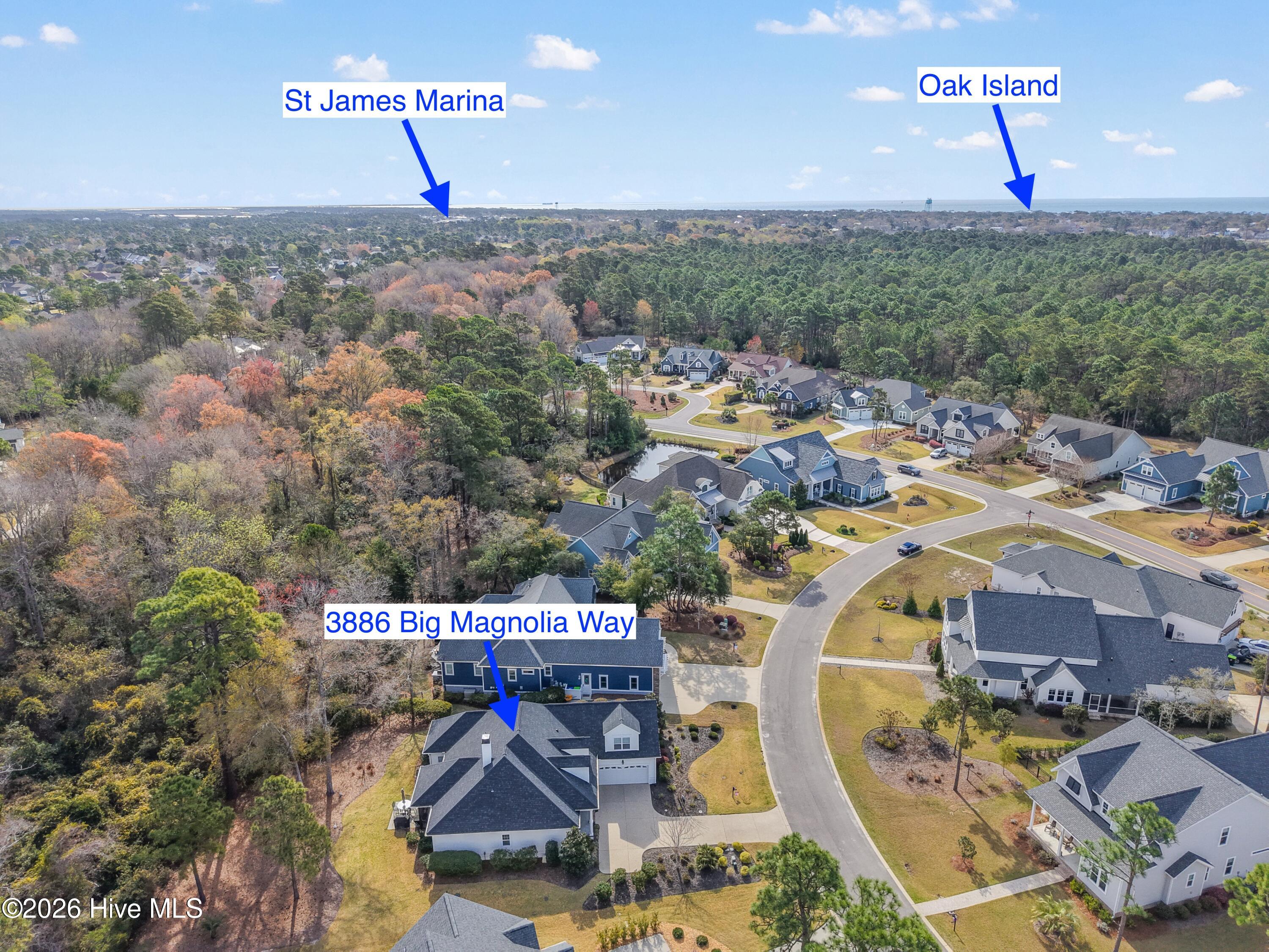 3886 Big Magnolia Way Property Photo 44