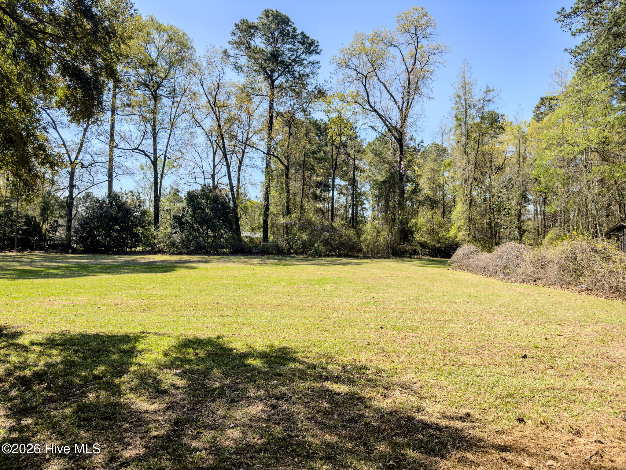 598 Forest Road Property Photo 2