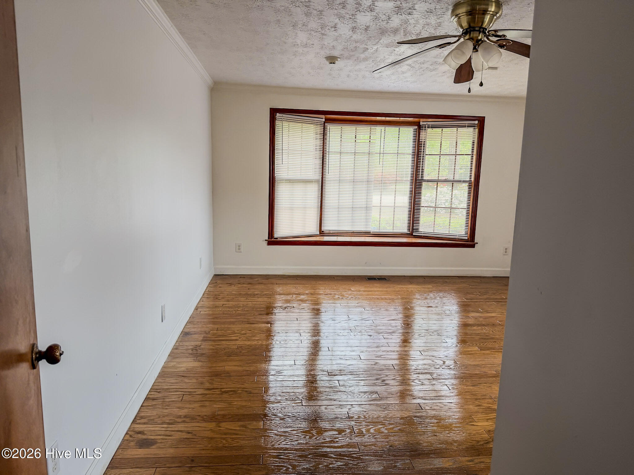 598 Forest Road Property Photo 27