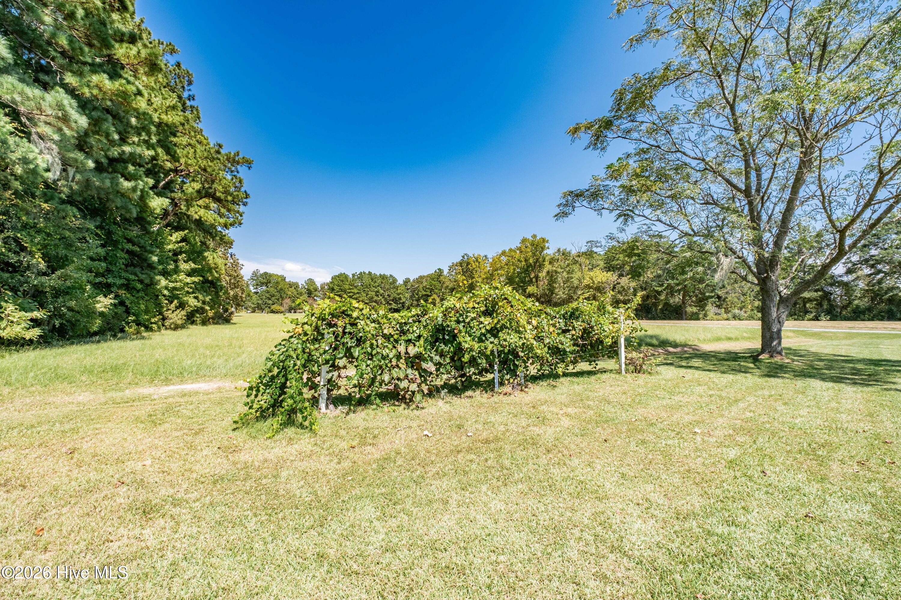 179 Stephen Way Property Photo 49