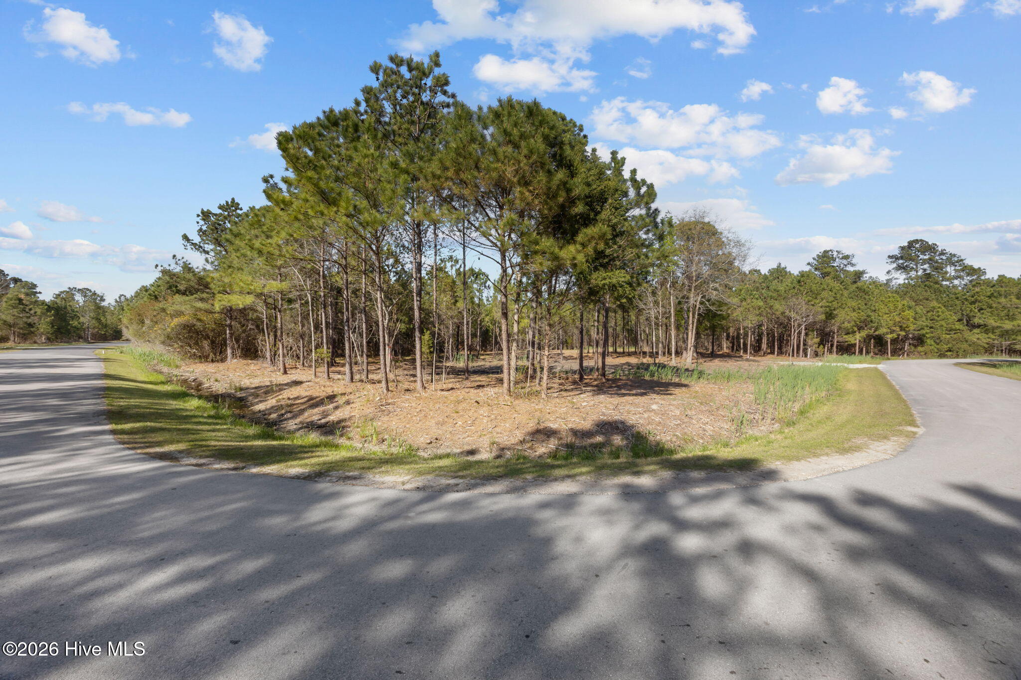 699 45 Vandemere Creek Drive Property Photo 3