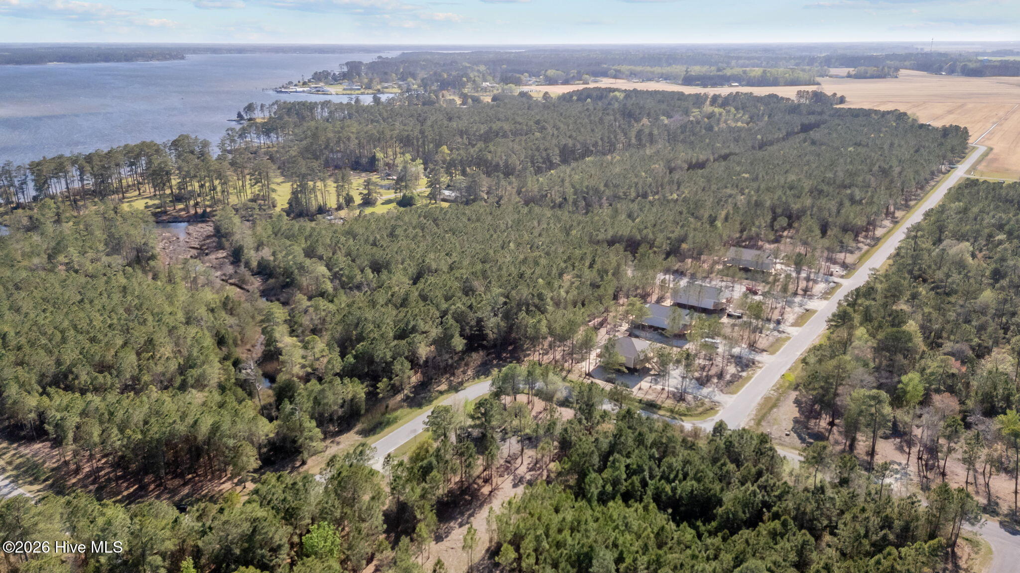 699 45 Vandemere Creek Drive Property Photo 4