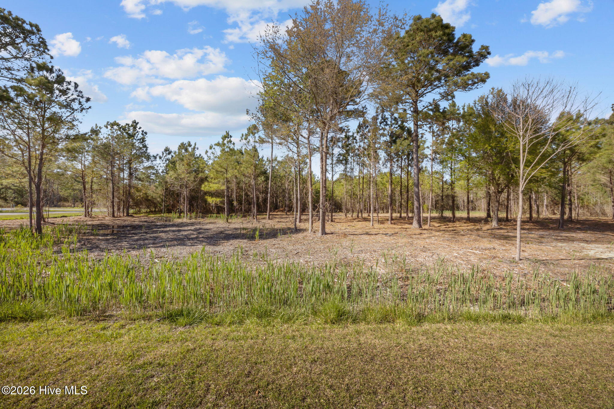 699 45 Vandemere Creek Drive Property Photo 6