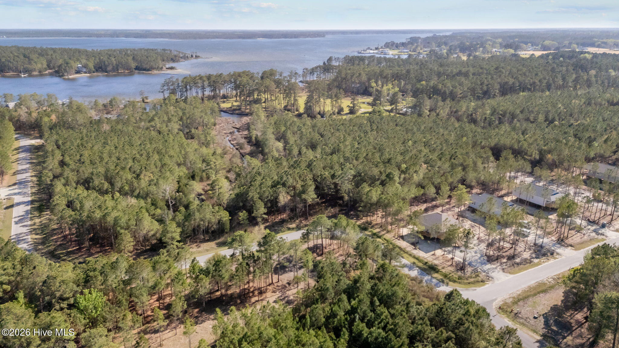699 45 Vandemere Creek Drive Property Photo 7