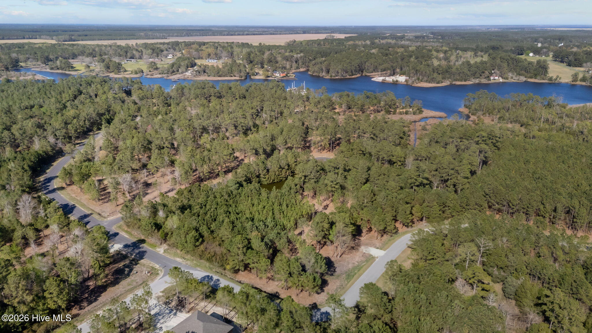 699 45 Vandemere Creek Drive Property Photo 8