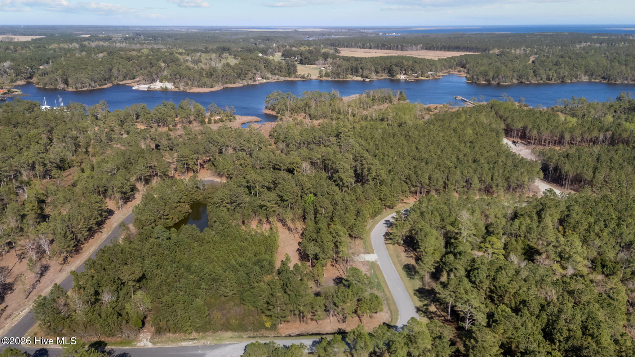 699 45 Vandemere Creek Drive Property Photo 9