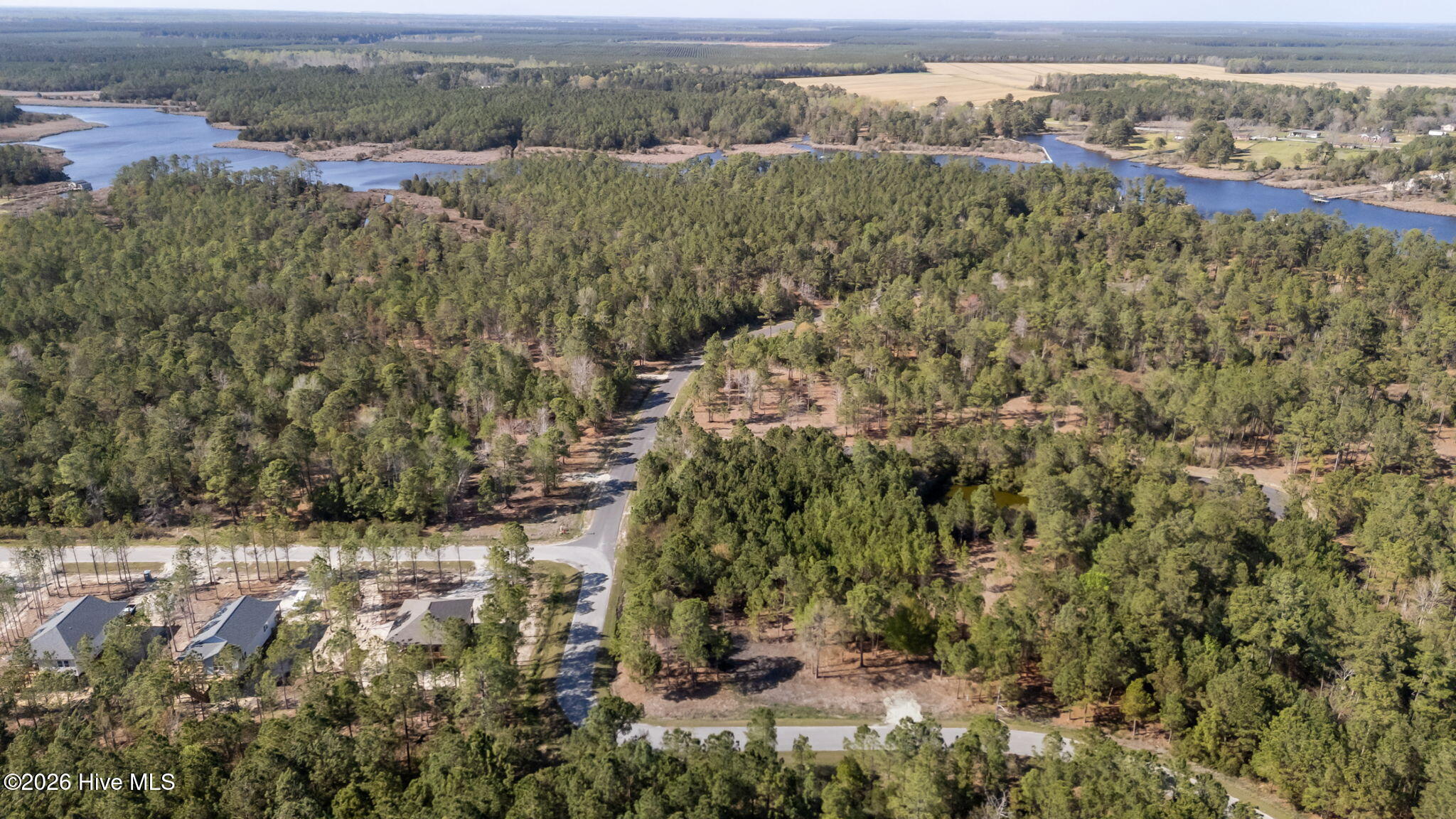 699 45 Vandemere Creek Drive Property Photo 13