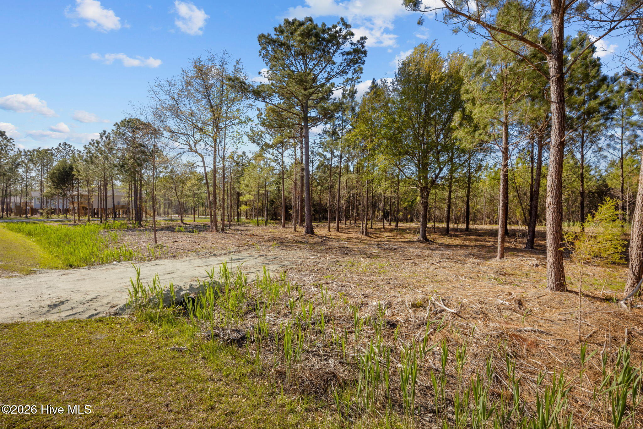 699 45 Vandemere Creek Drive Property Photo 14