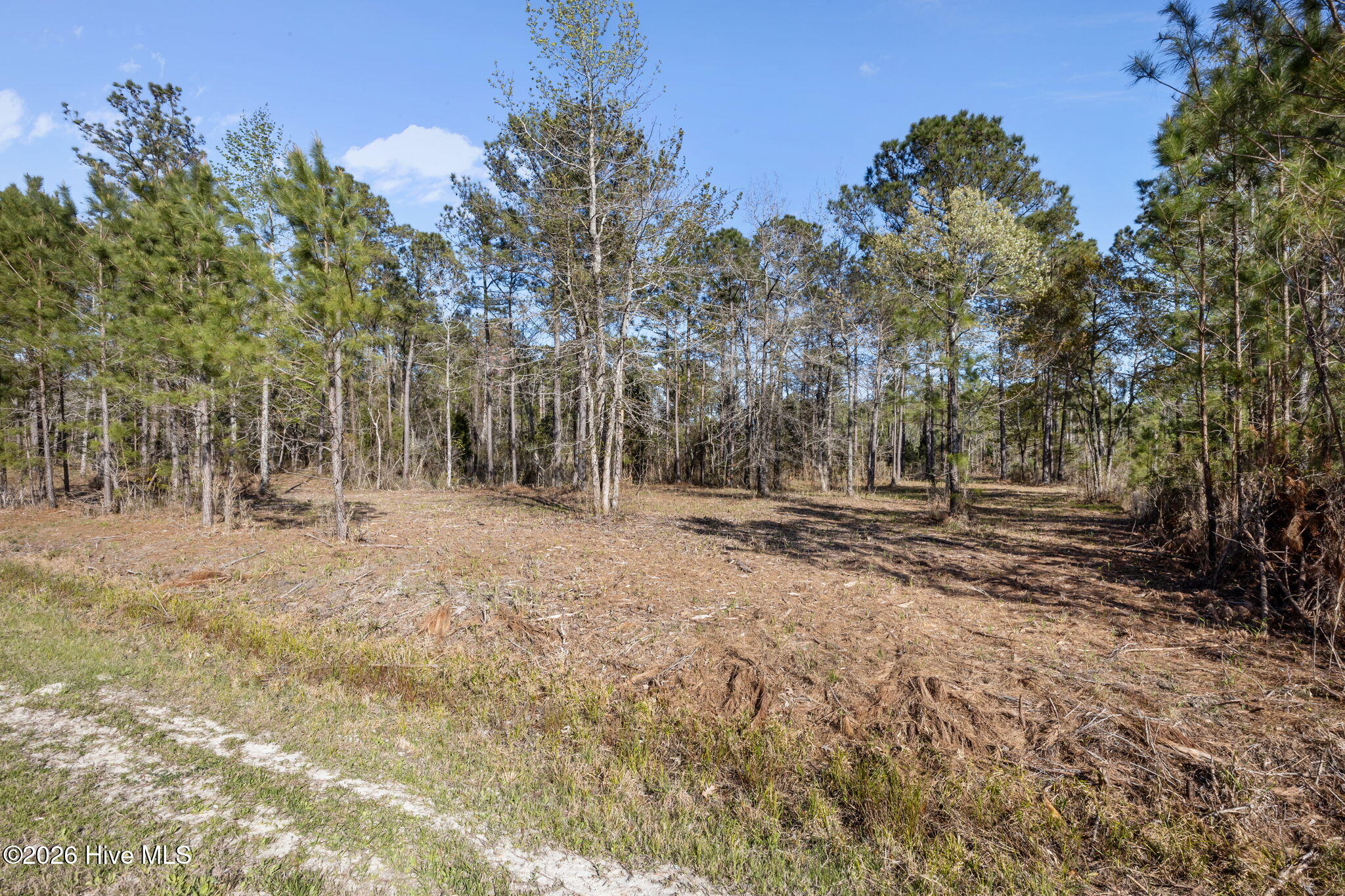 168 31 Shell Castle Lane Property Photo 3