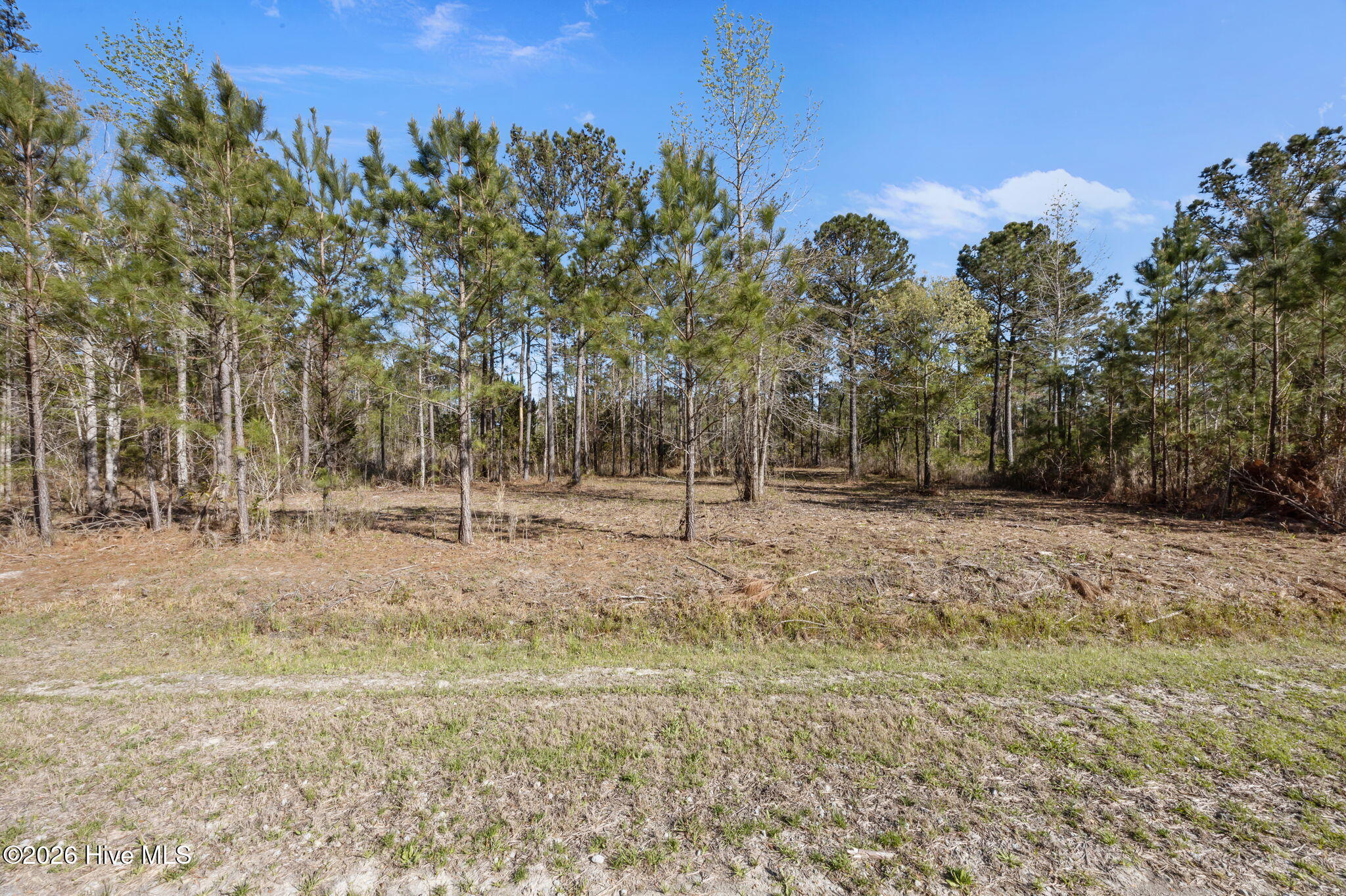 168 31 Shell Castle Lane Property Photo 15