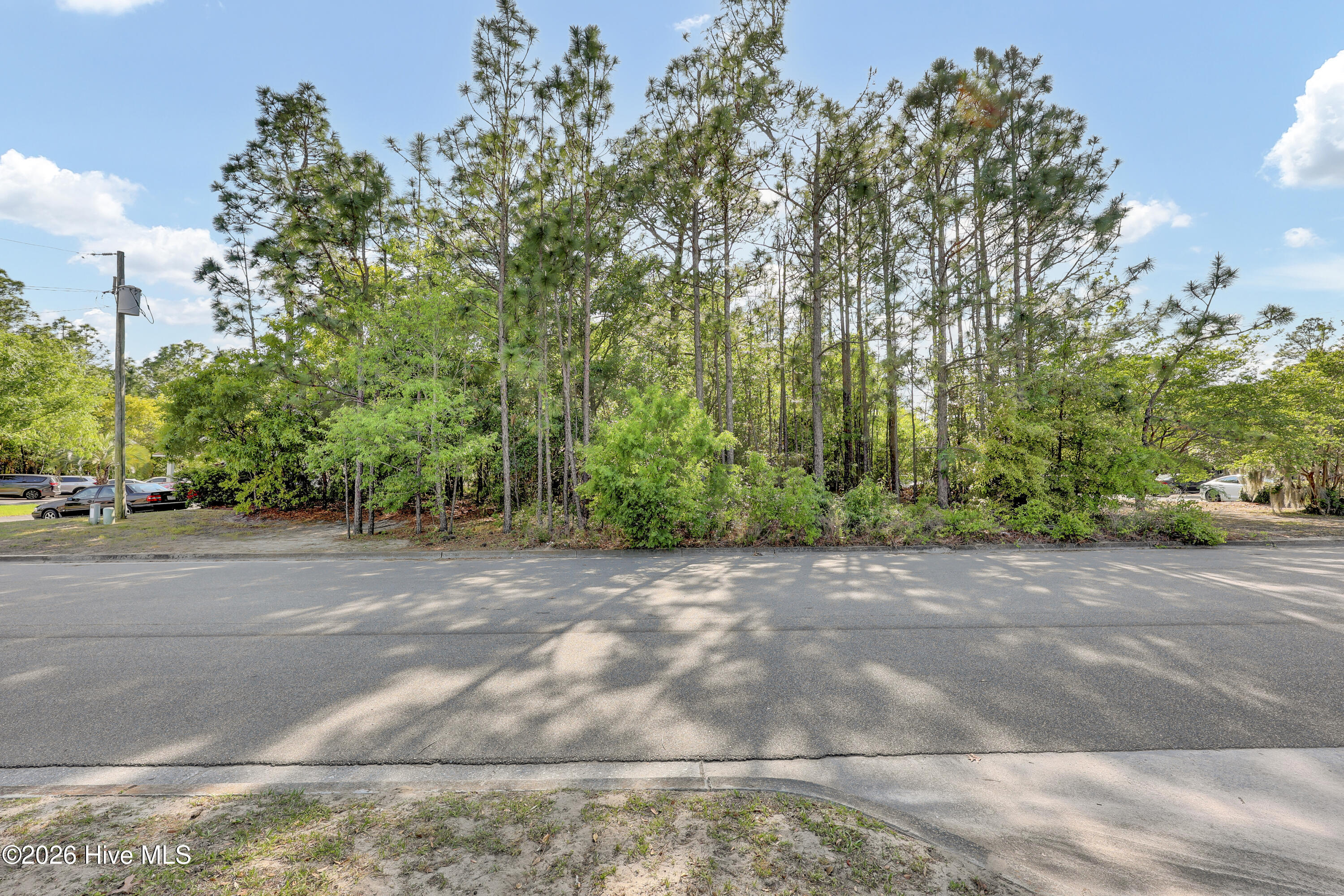 2248 3 Yaupon Drive Property Photo 19