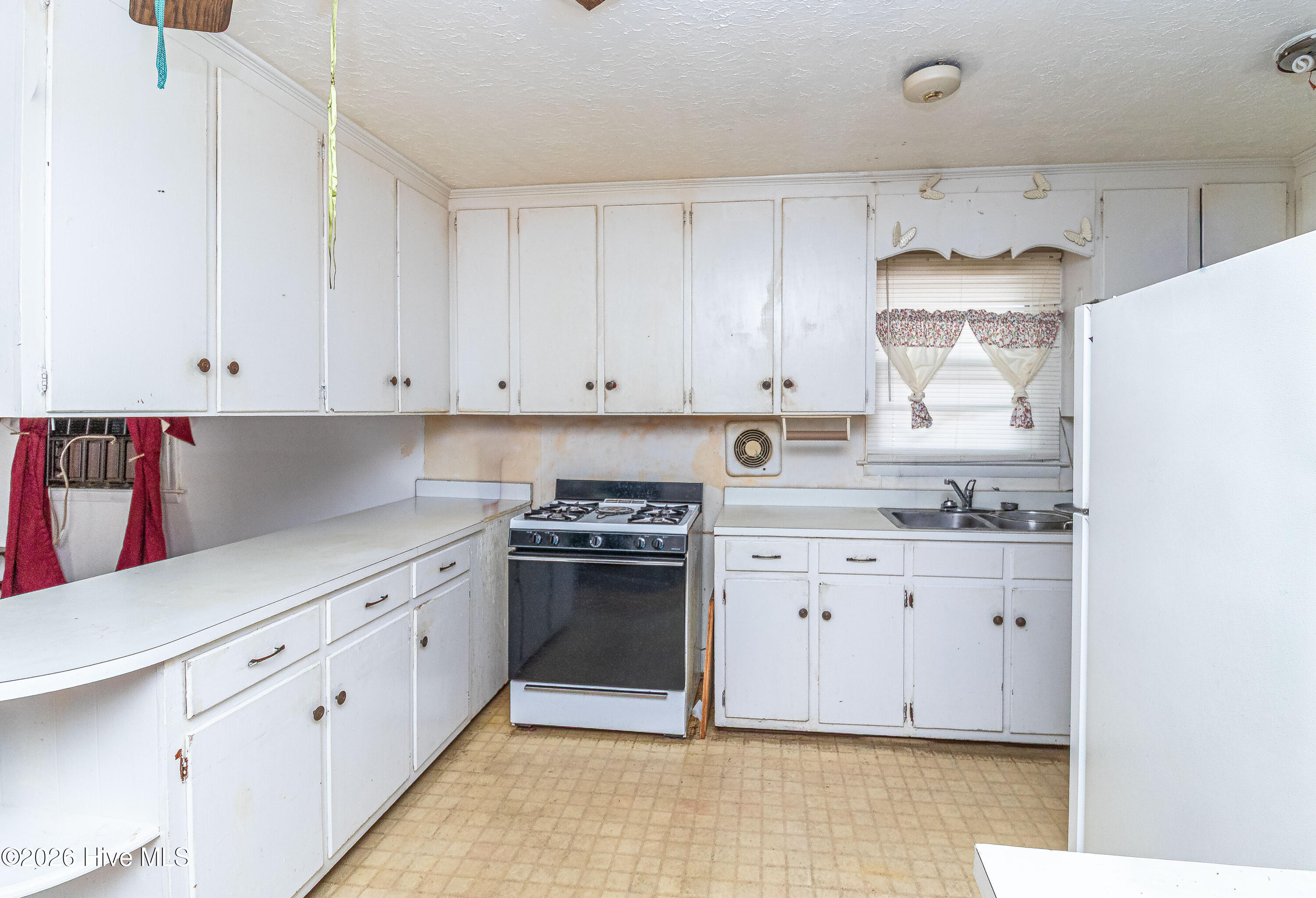 103 Springhill Street Property Photo 5