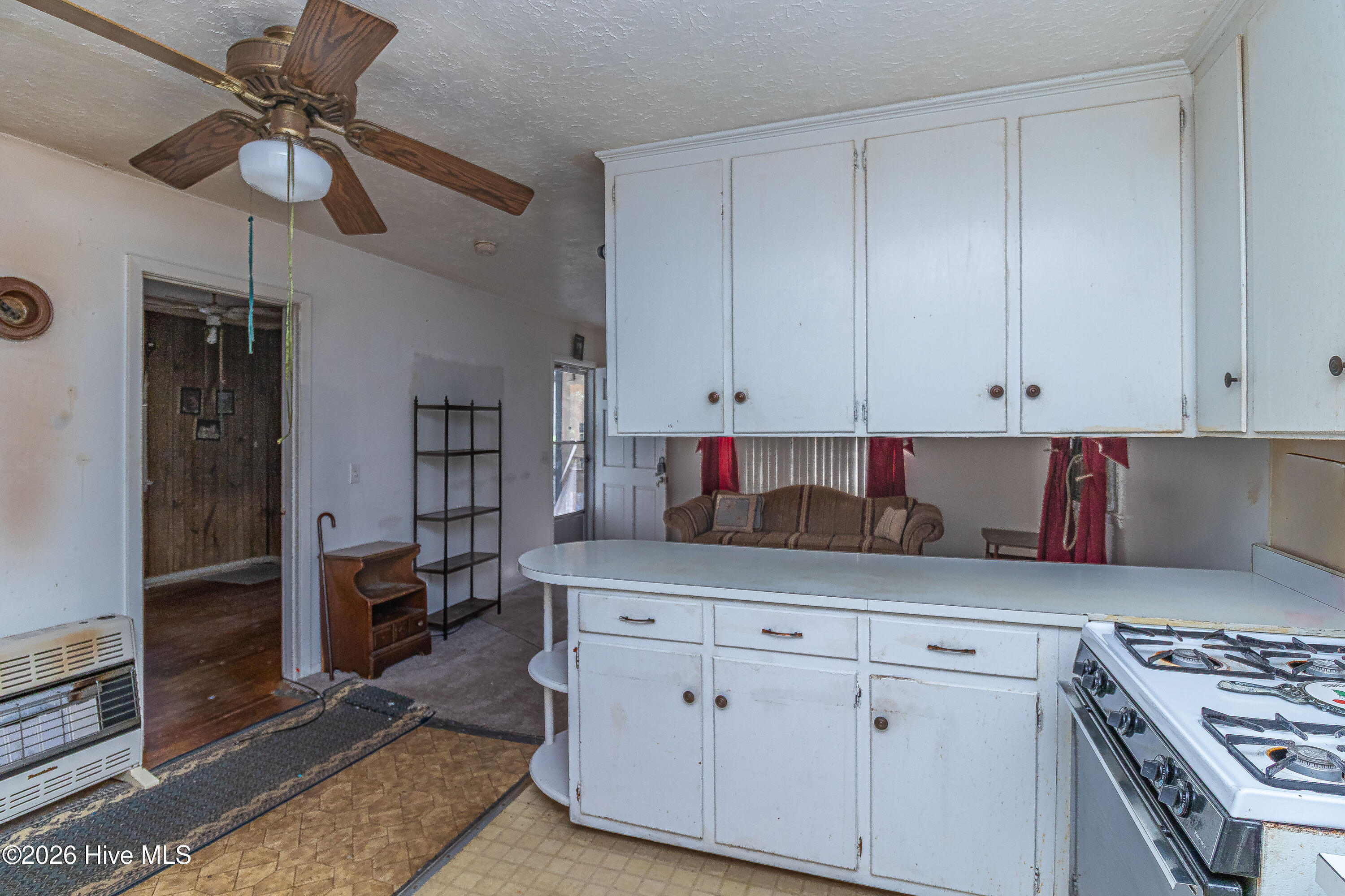 103 Springhill Street Property Photo 7