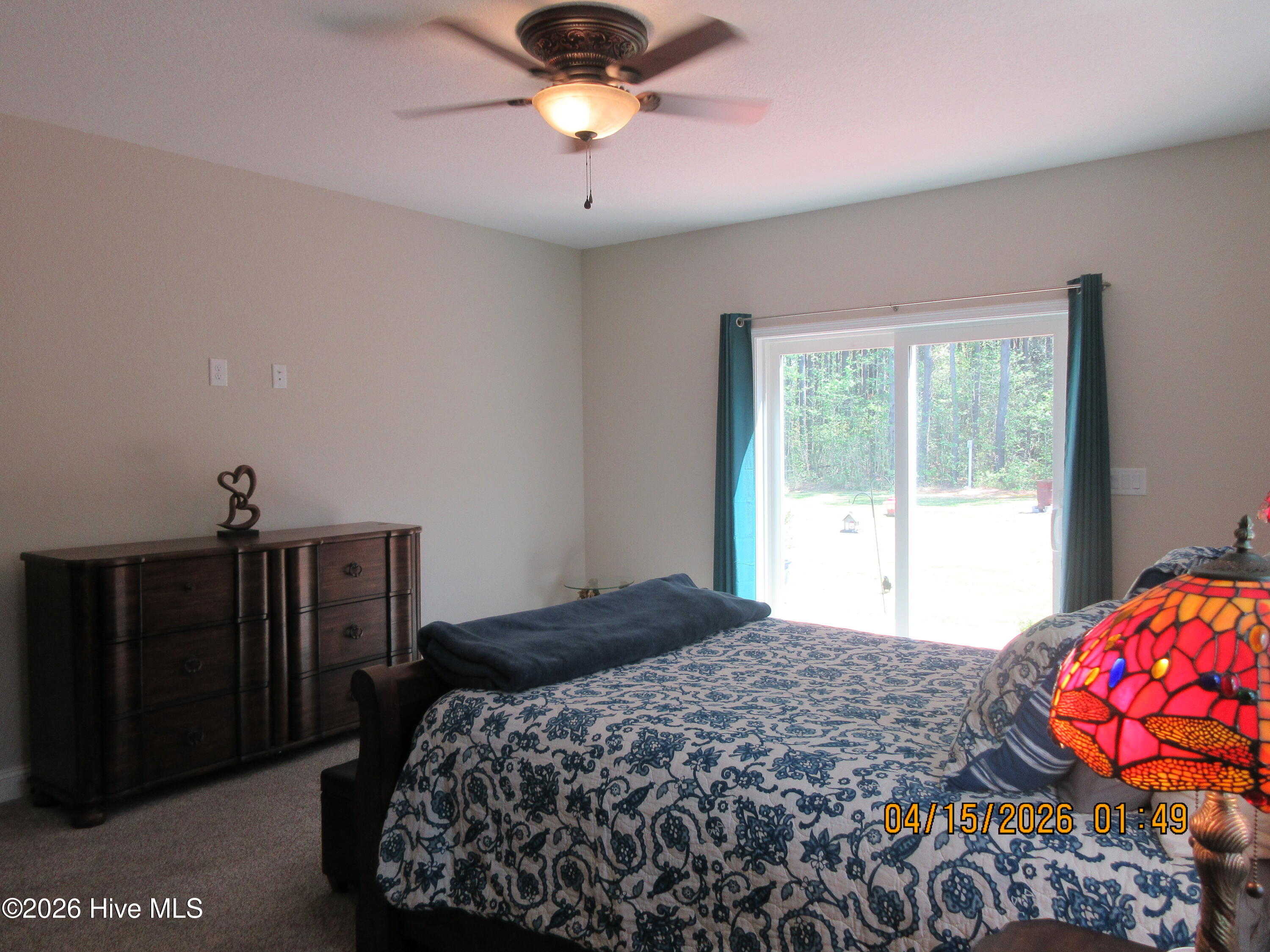 141 W Mobile Road Property Photo 28