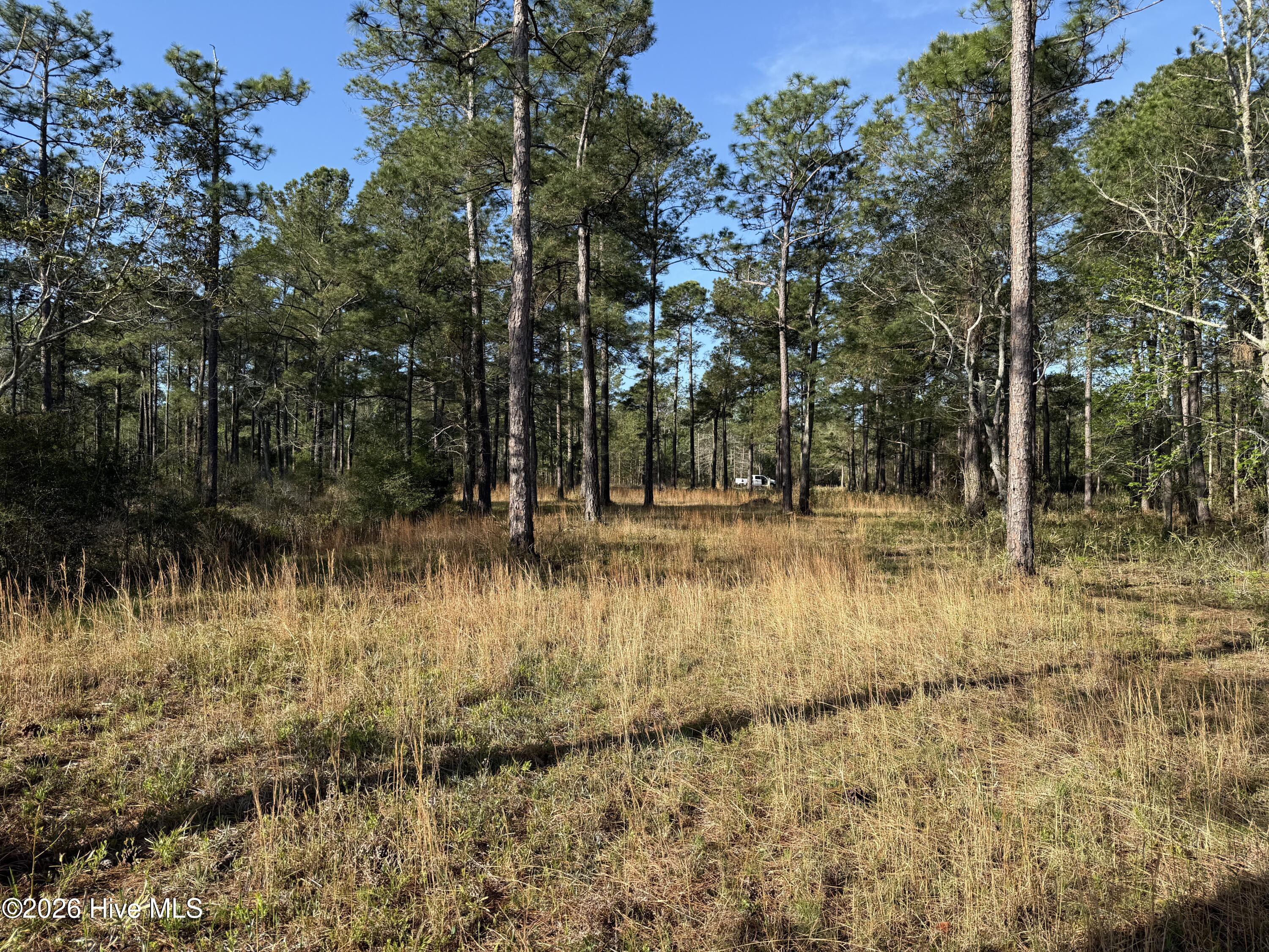 269 23 Shell Castle Lane Property Photo 18