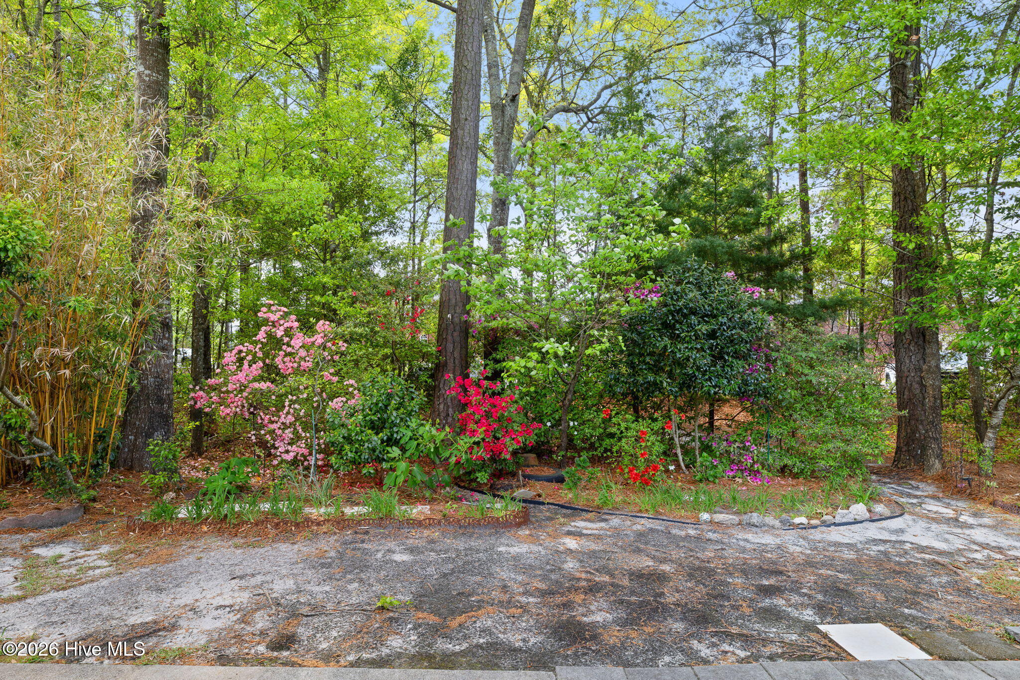 4524 Regent Drive Property Photo 37