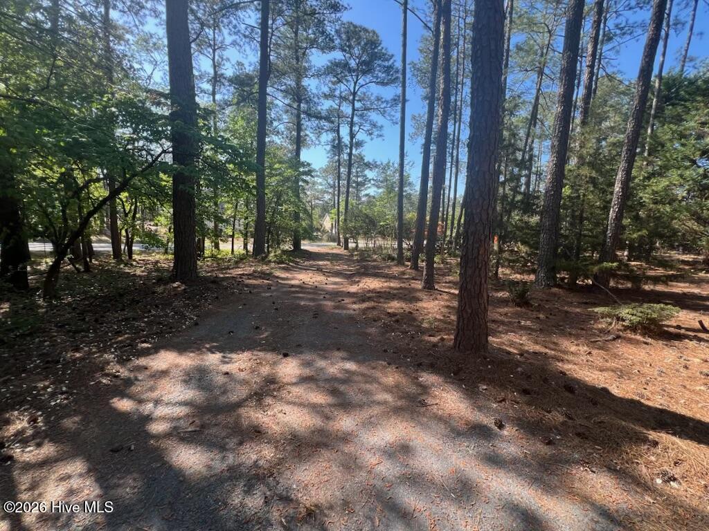 1551 1 Linden Road Property Photo 7