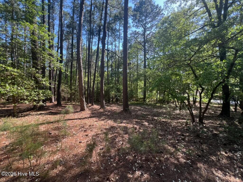 1551 1 Linden Road Property Photo 9