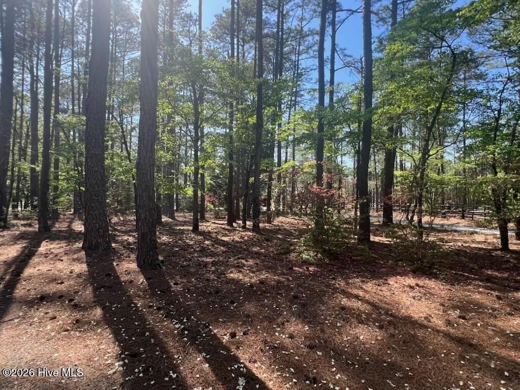 1551 1 Linden Road Property Photo 10