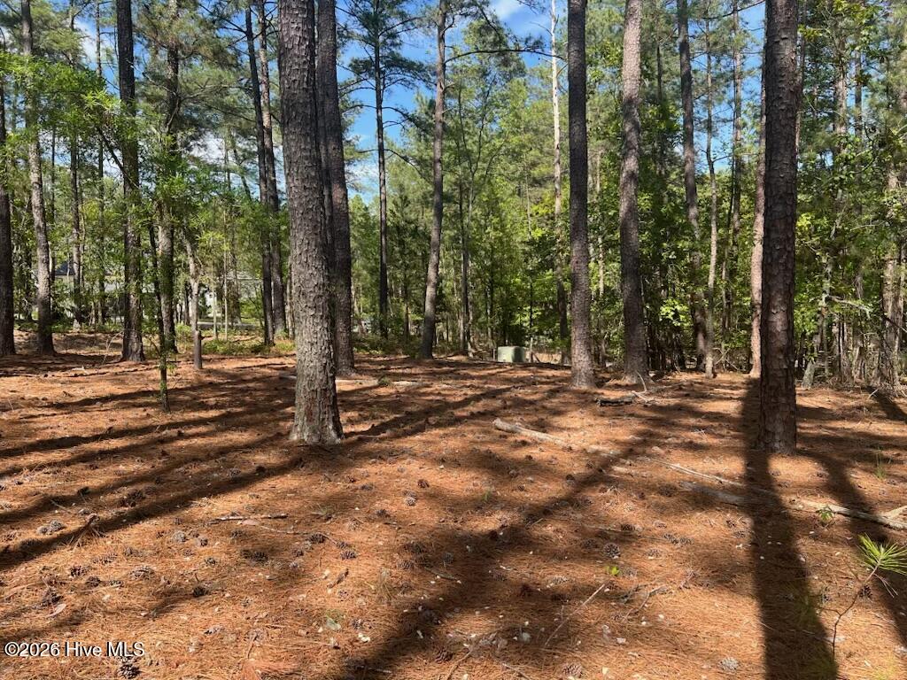 1551 1 Linden Road Property Photo 11