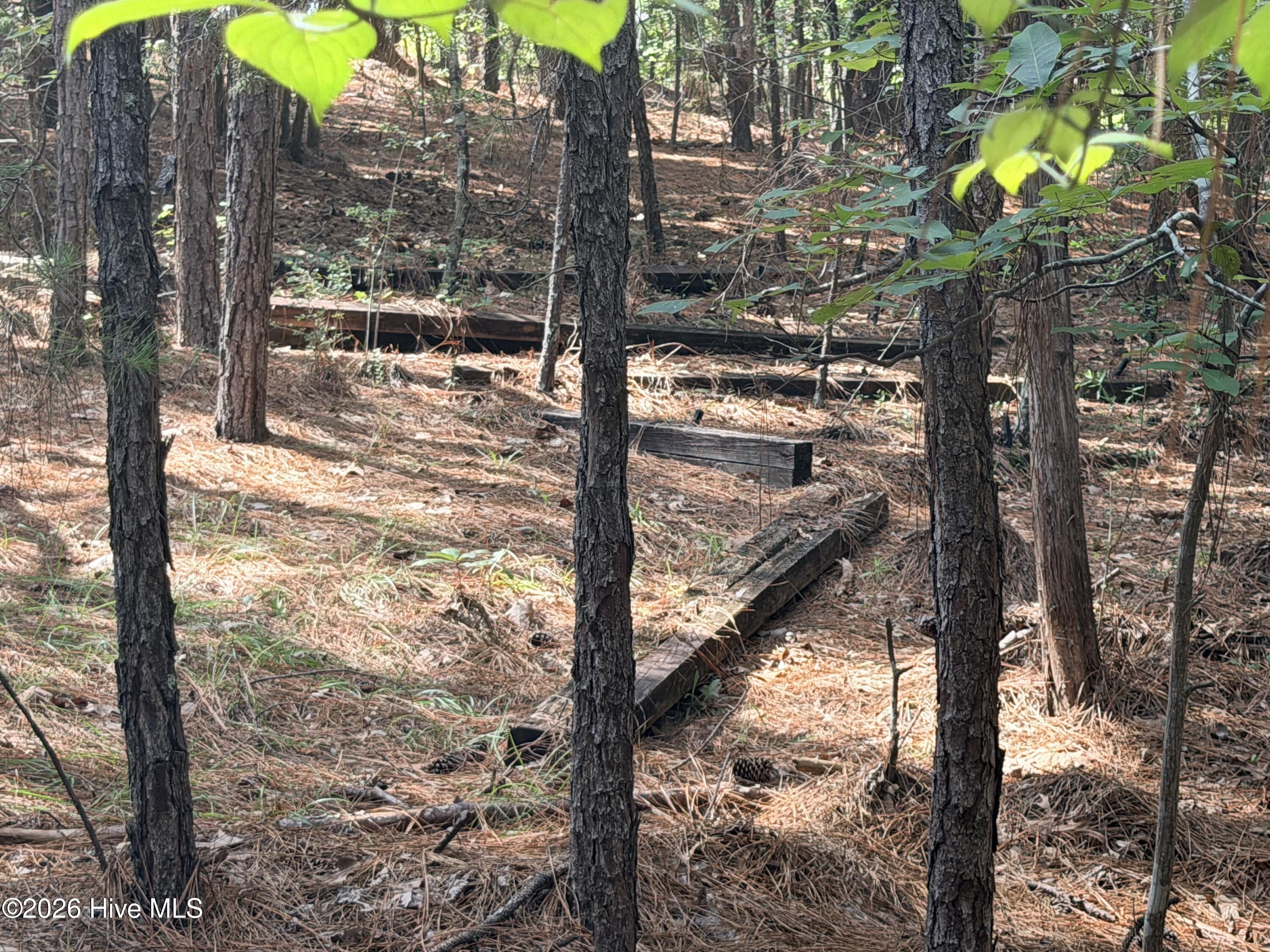 1551 1 Linden Road Property Photo 47