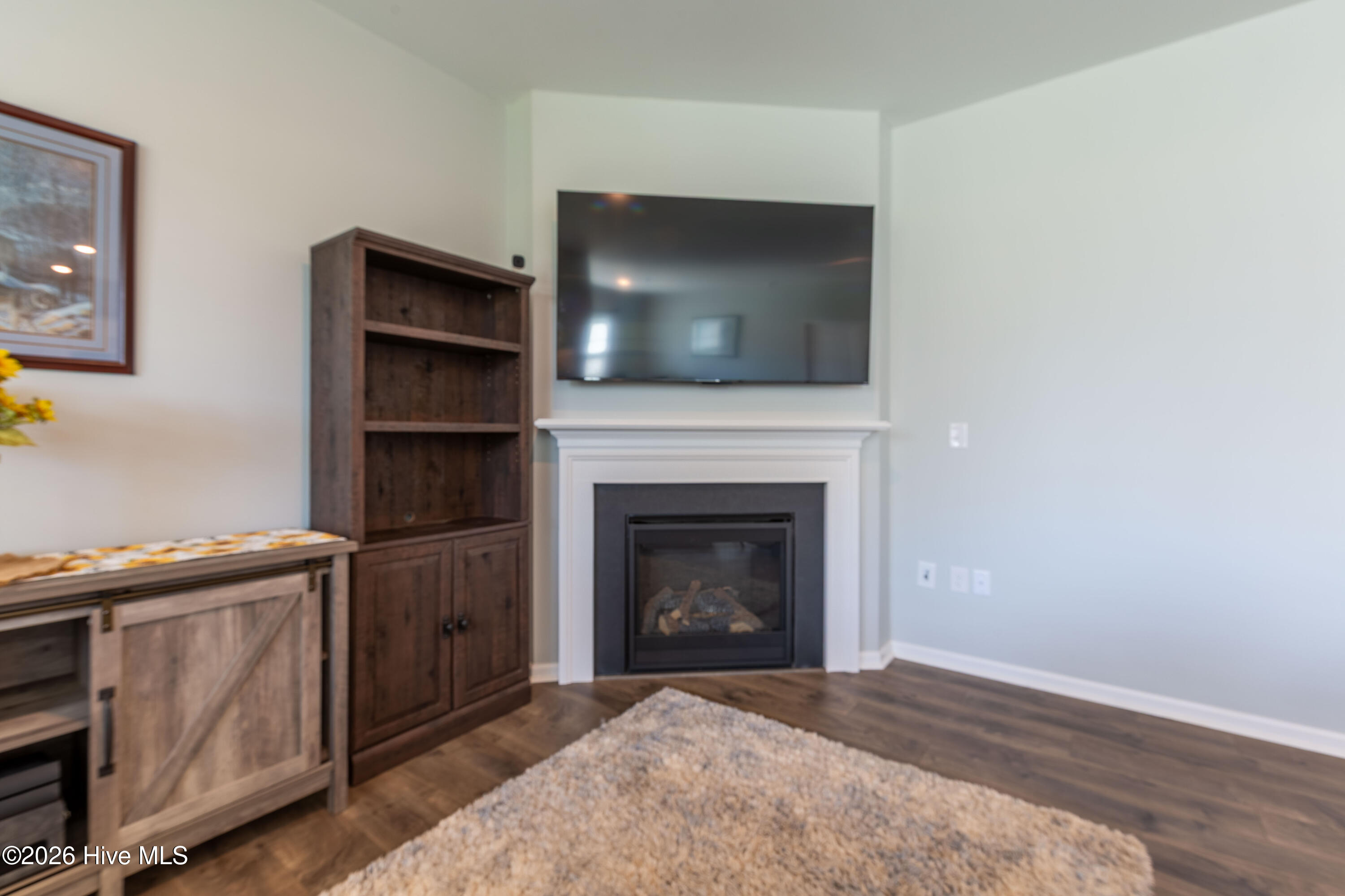 1015 Saddlebrook Drive Property Photo 19