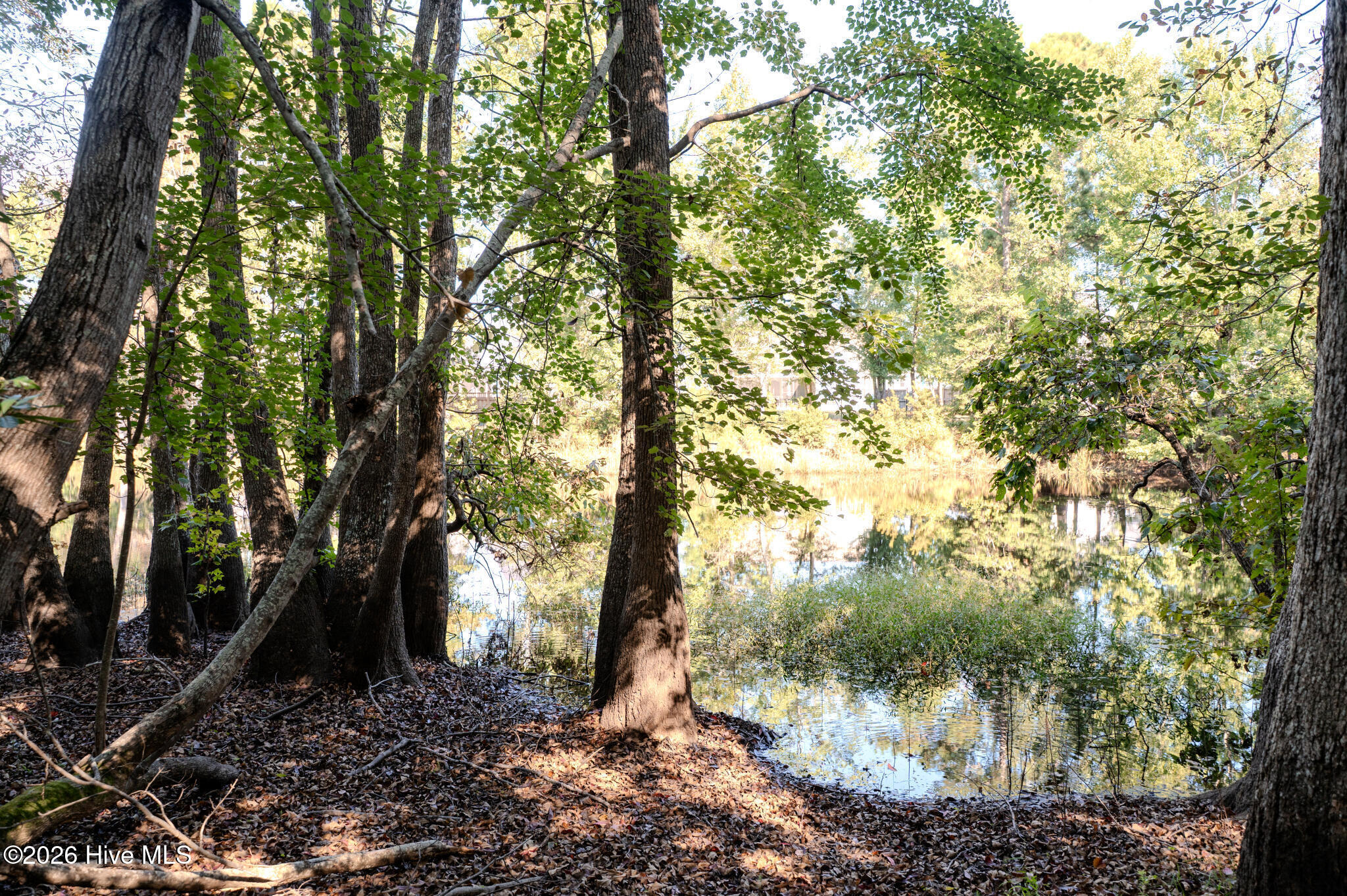 479 Sugar Cove Run Property Photo 74