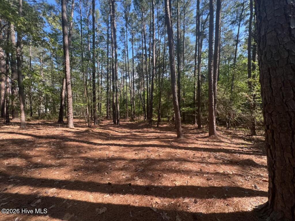 1551 Linden Road Property Photo 37