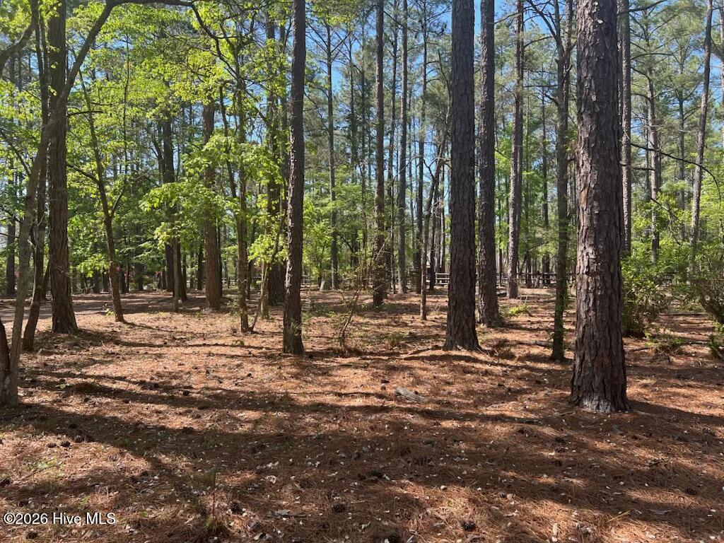 1551 Linden Road Property Photo 43