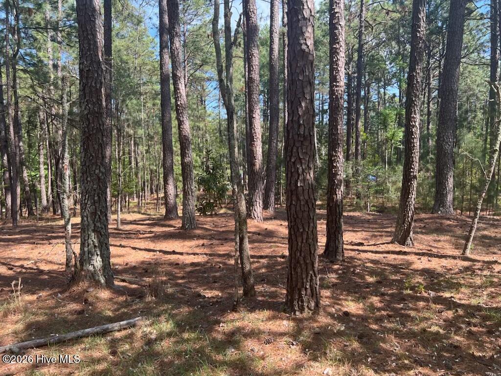 1551 Linden Road Property Photo 44
