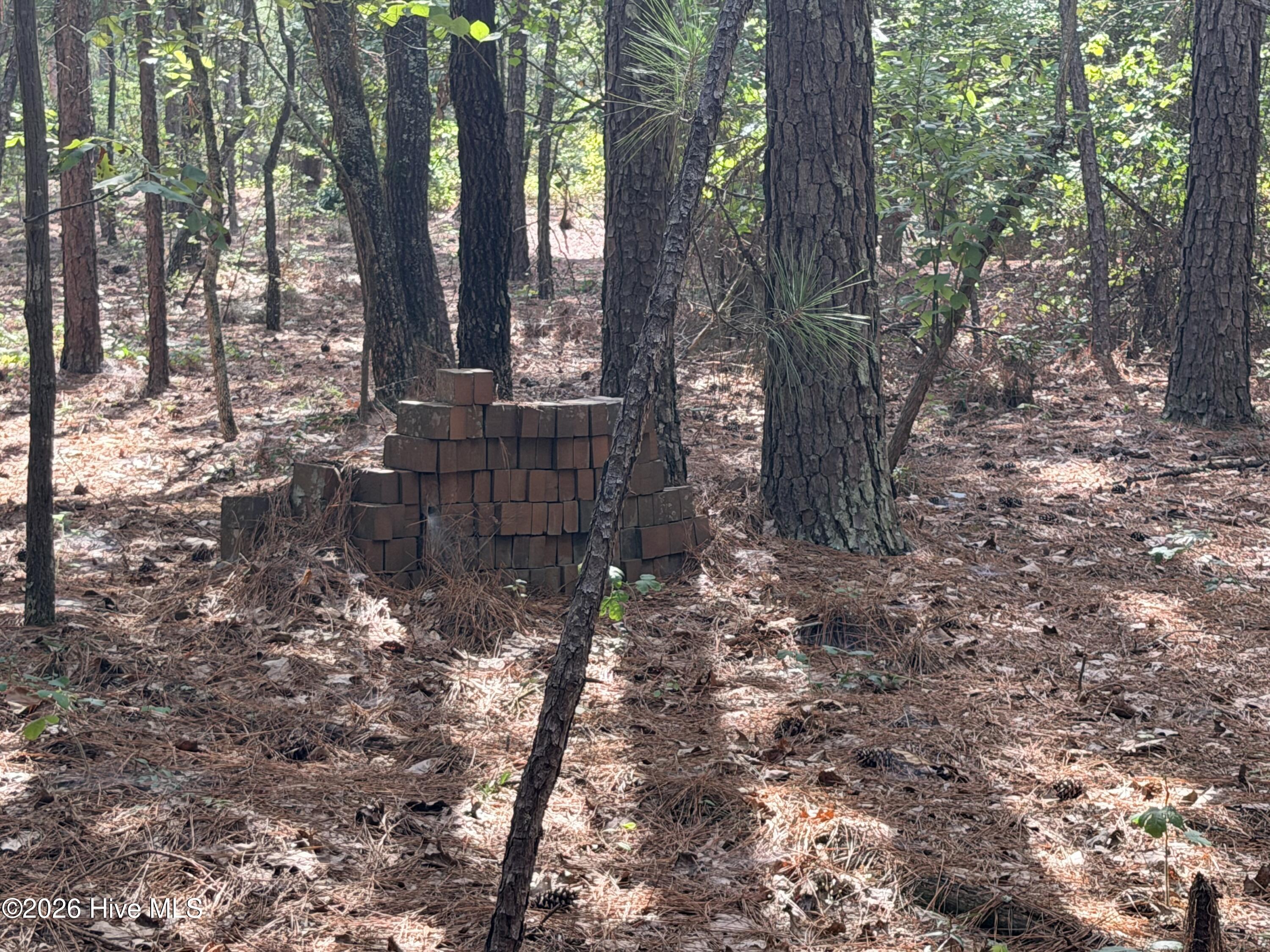 1551 Linden Road Property Photo 48