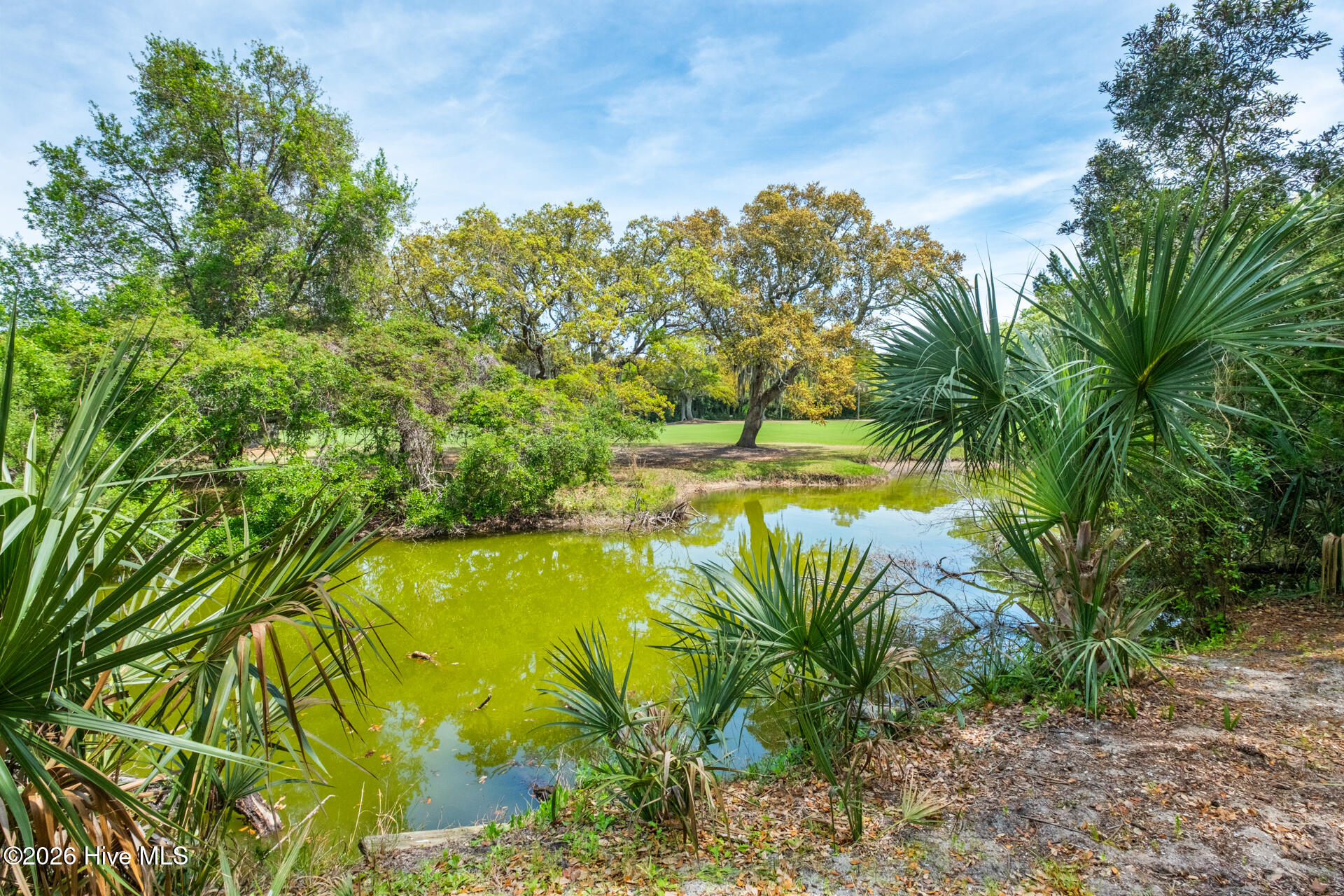 23 Dowitcher Trail Property Photo 44